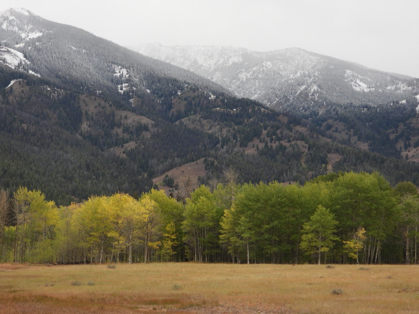 First snow in the Smokeys