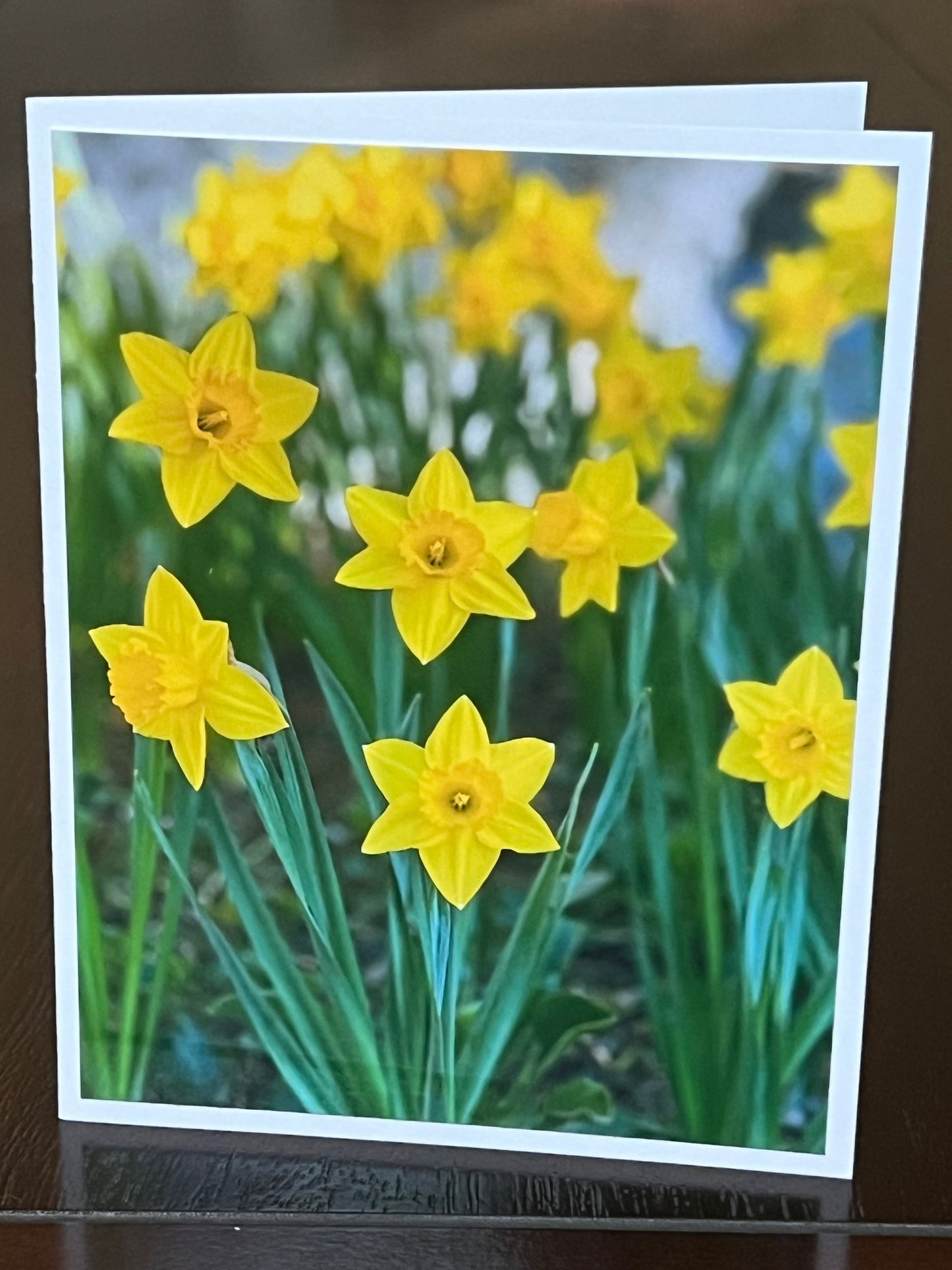 Daffodils