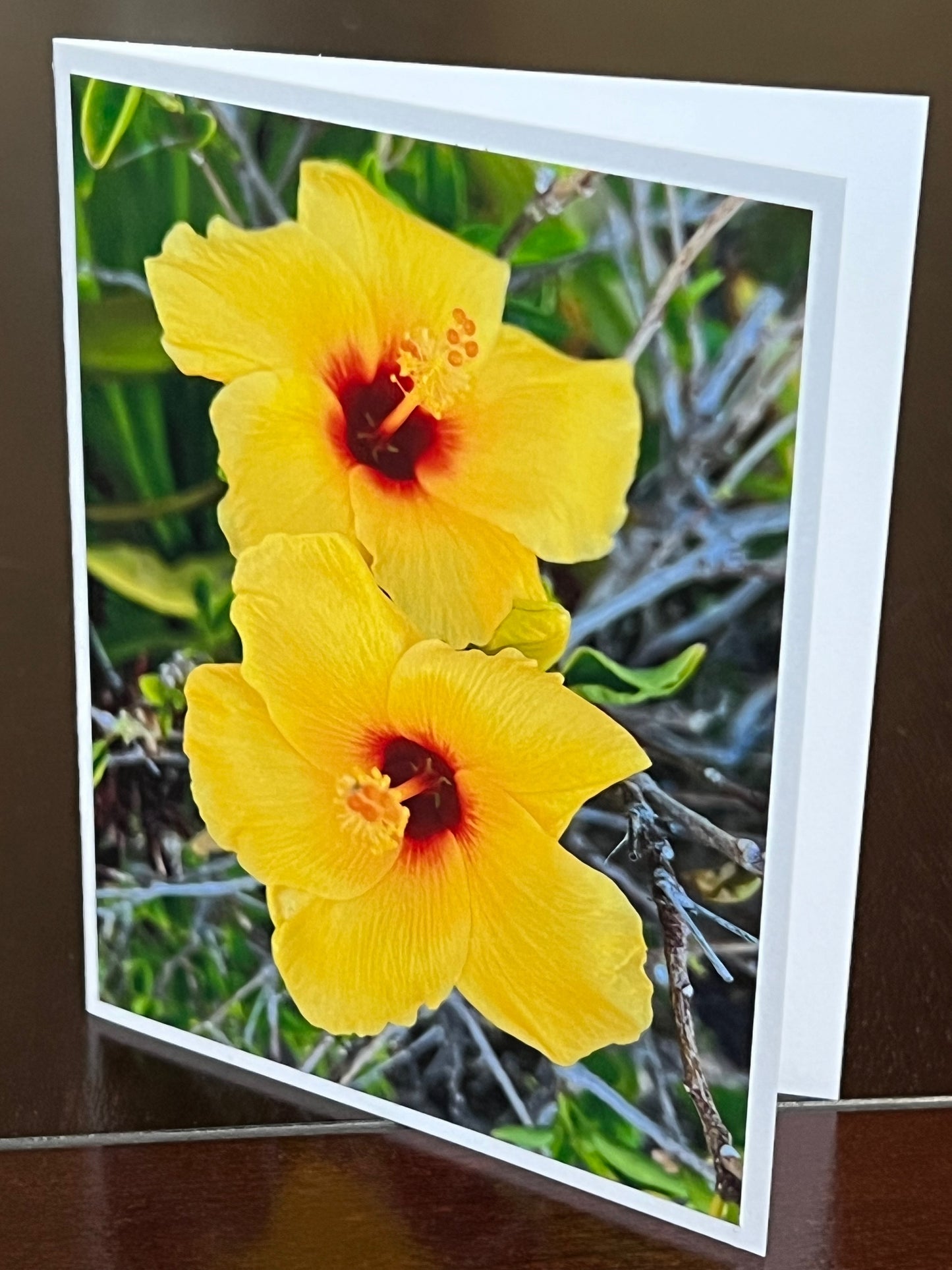 Double Yellow hibiscus