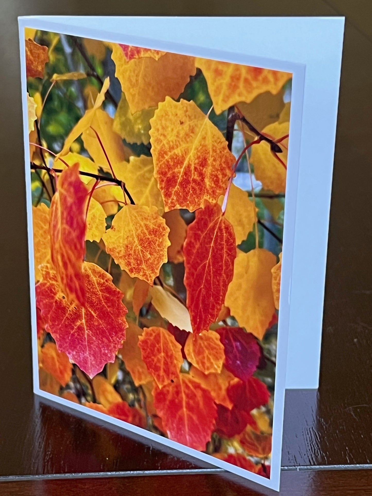 Swedish Aspen colors