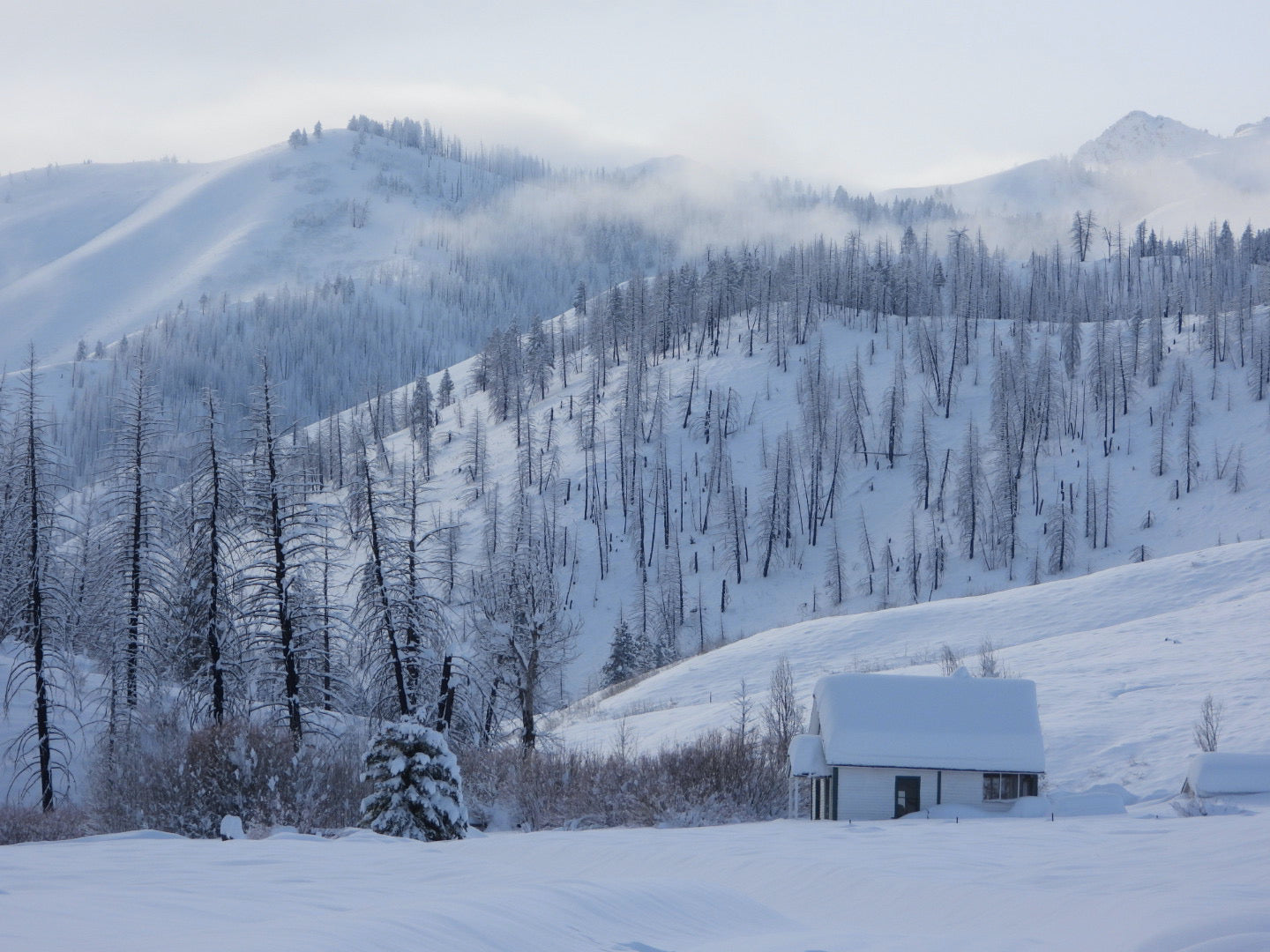 Greenhorn Gulch in winter