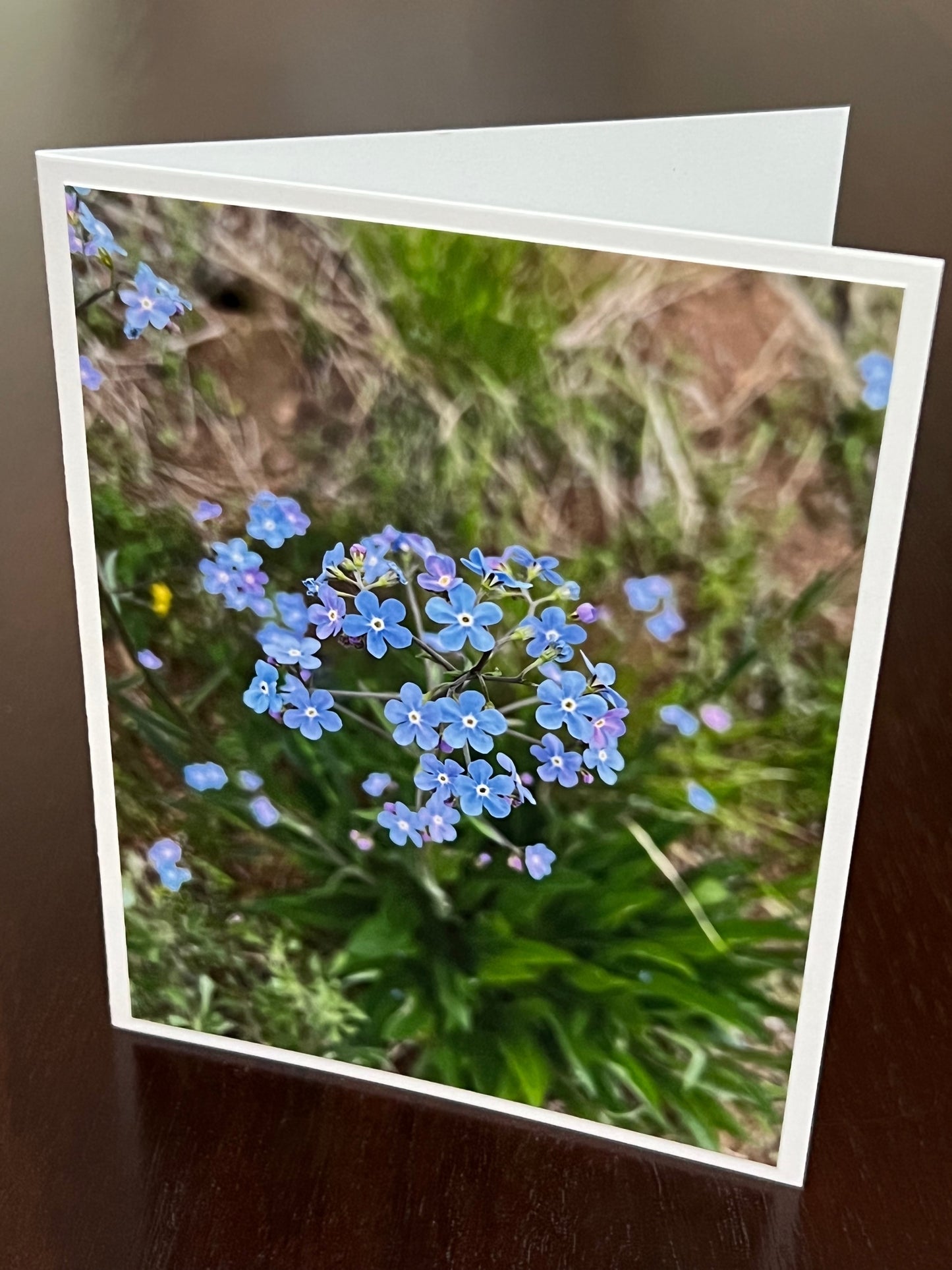 Forget me nots