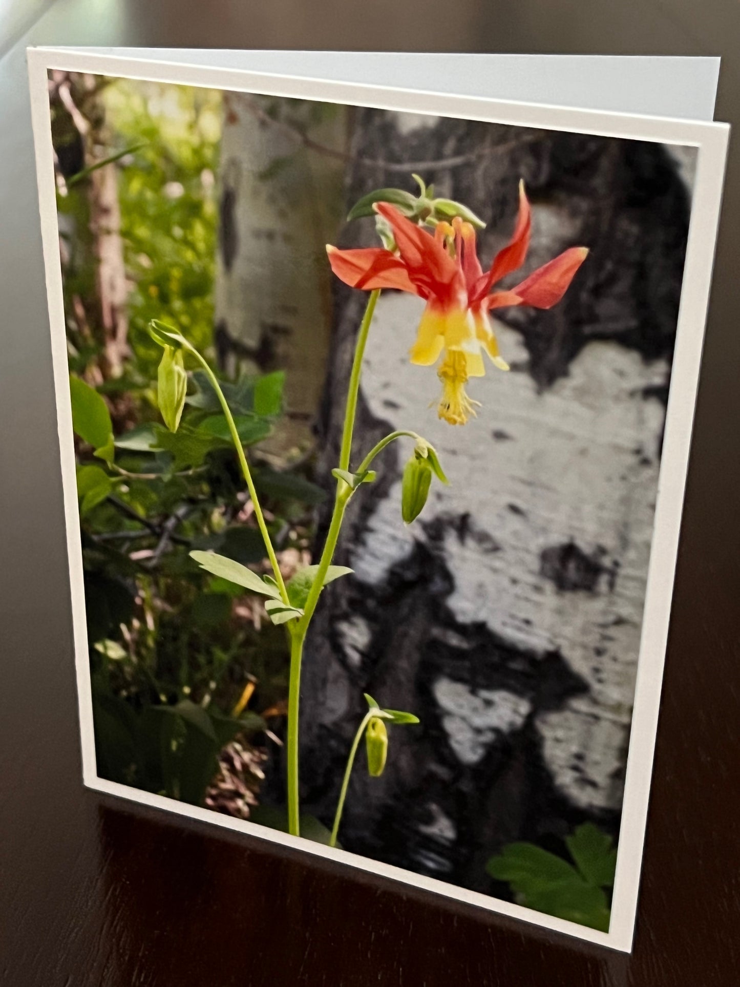 Columbine