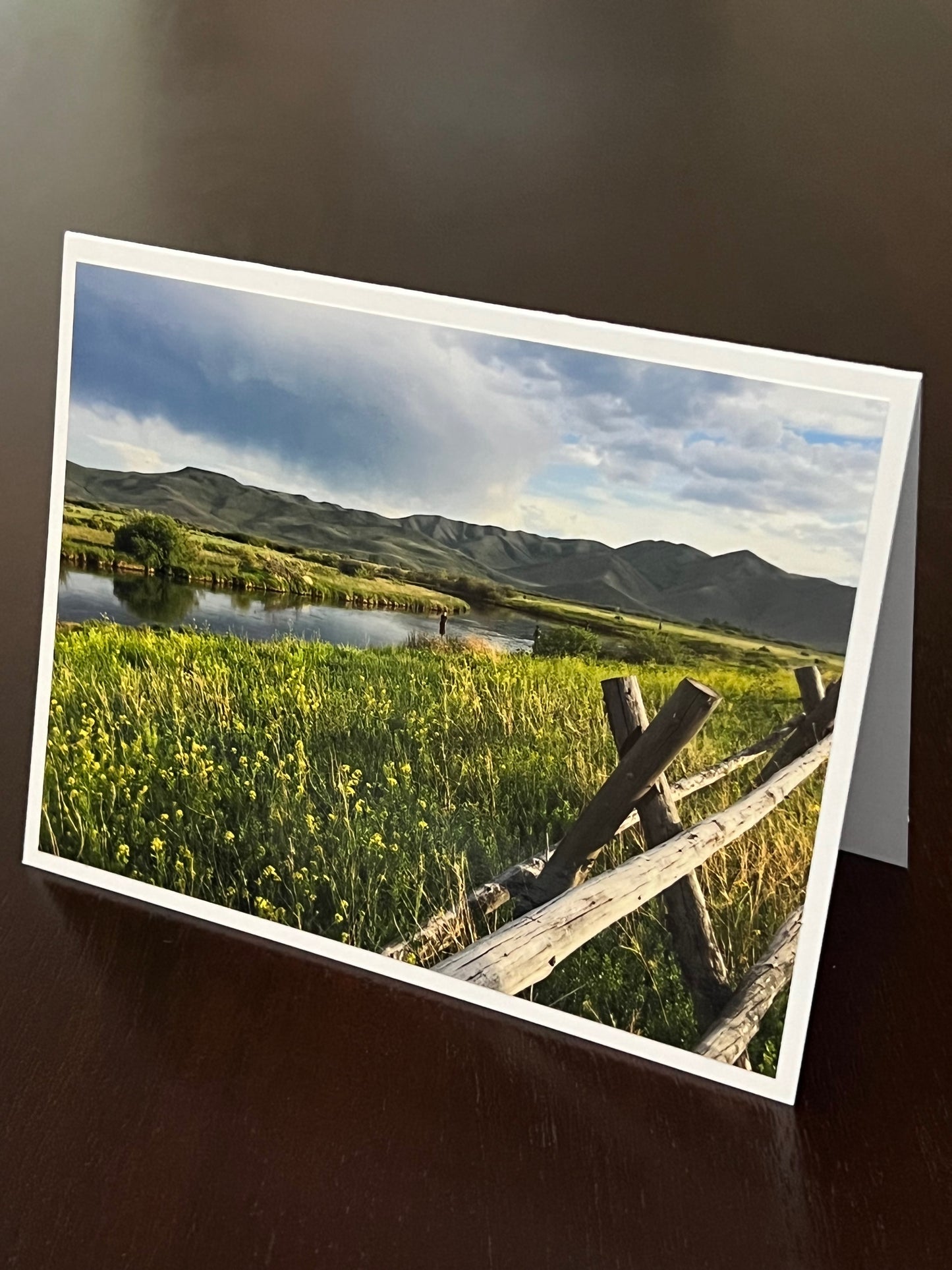 Fly fishing at Silver Creek 2