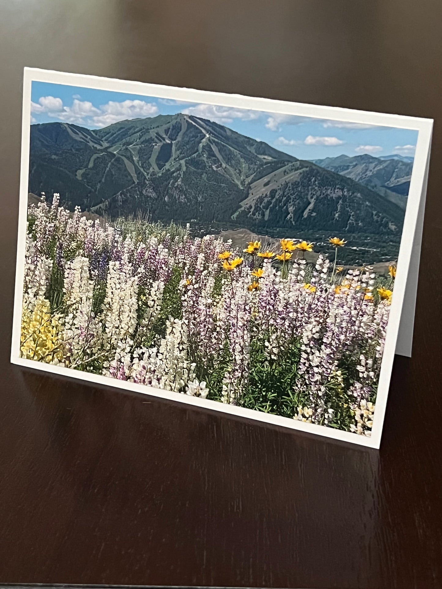 Baldy with summer lupine