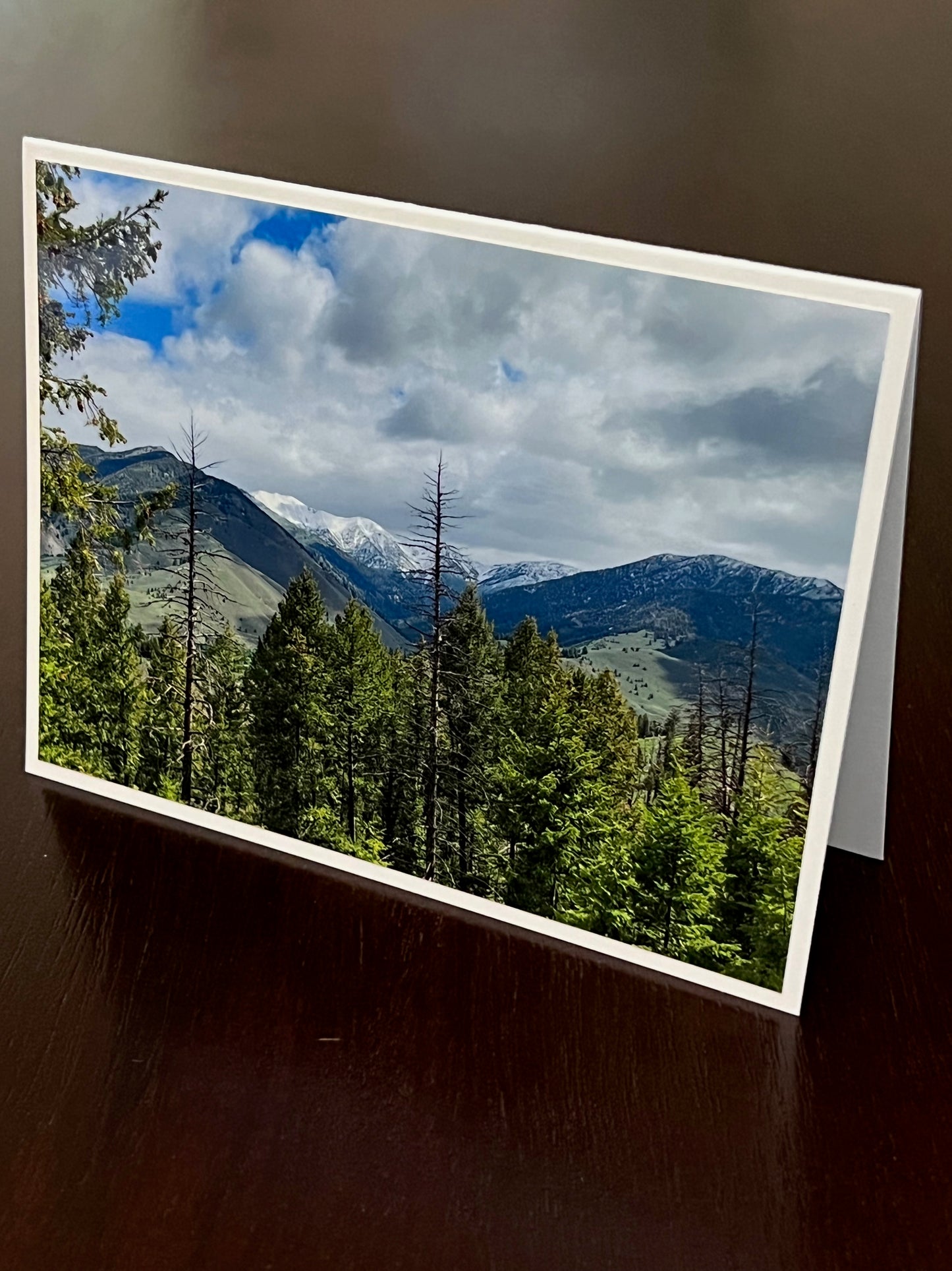 View from Fox Creek 2