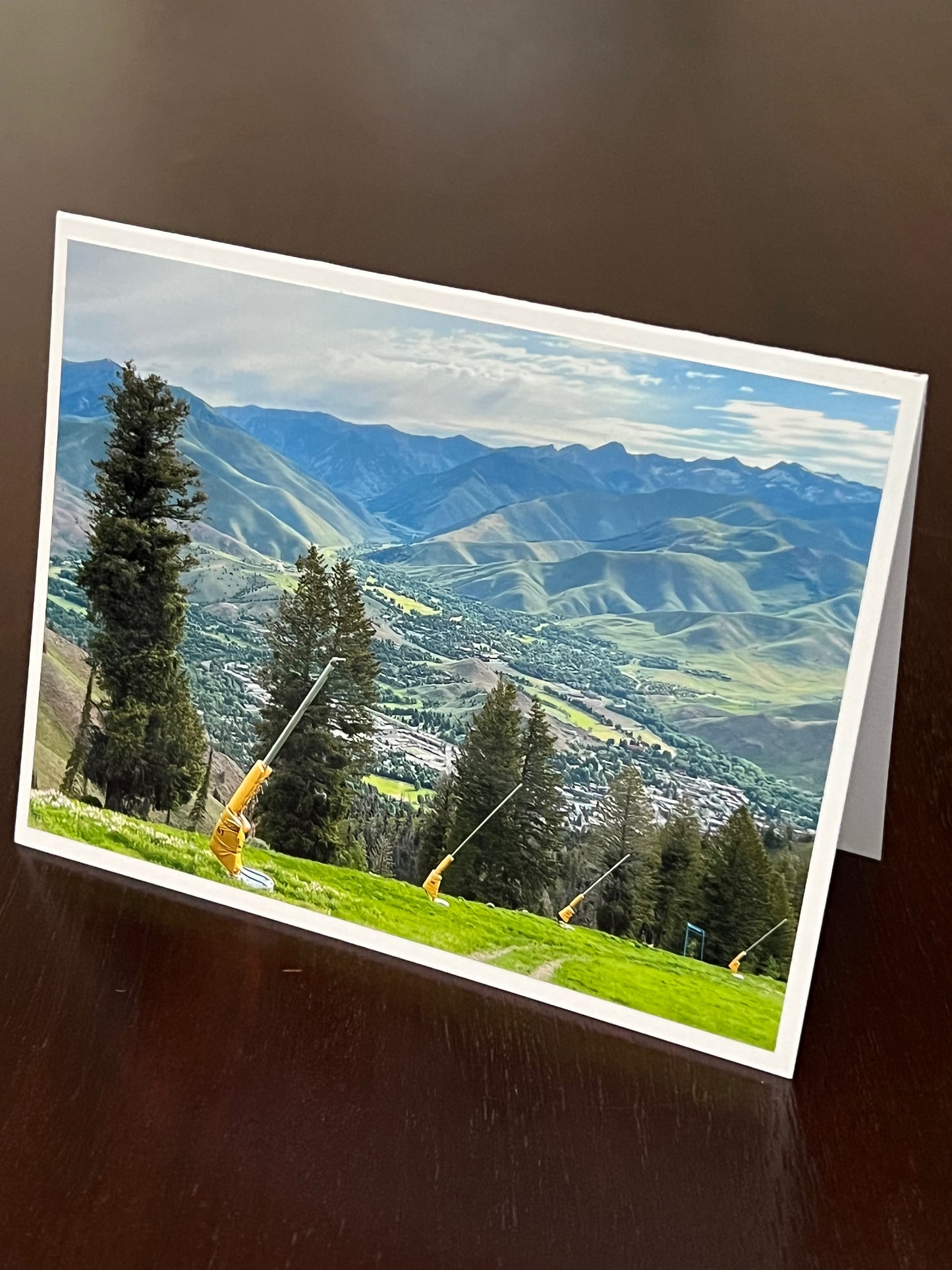 Summer view from Baldy