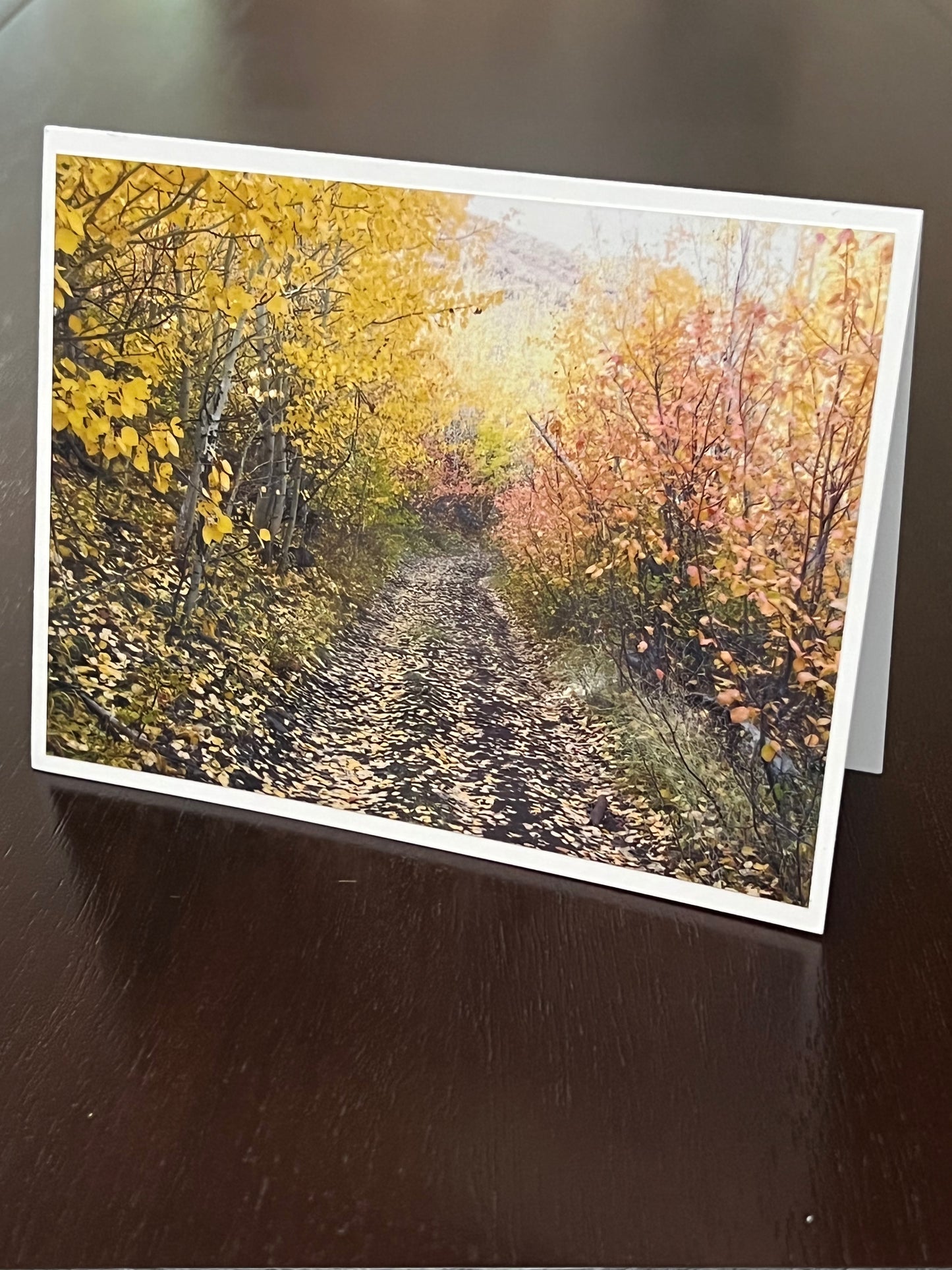 Stroll in the leaves