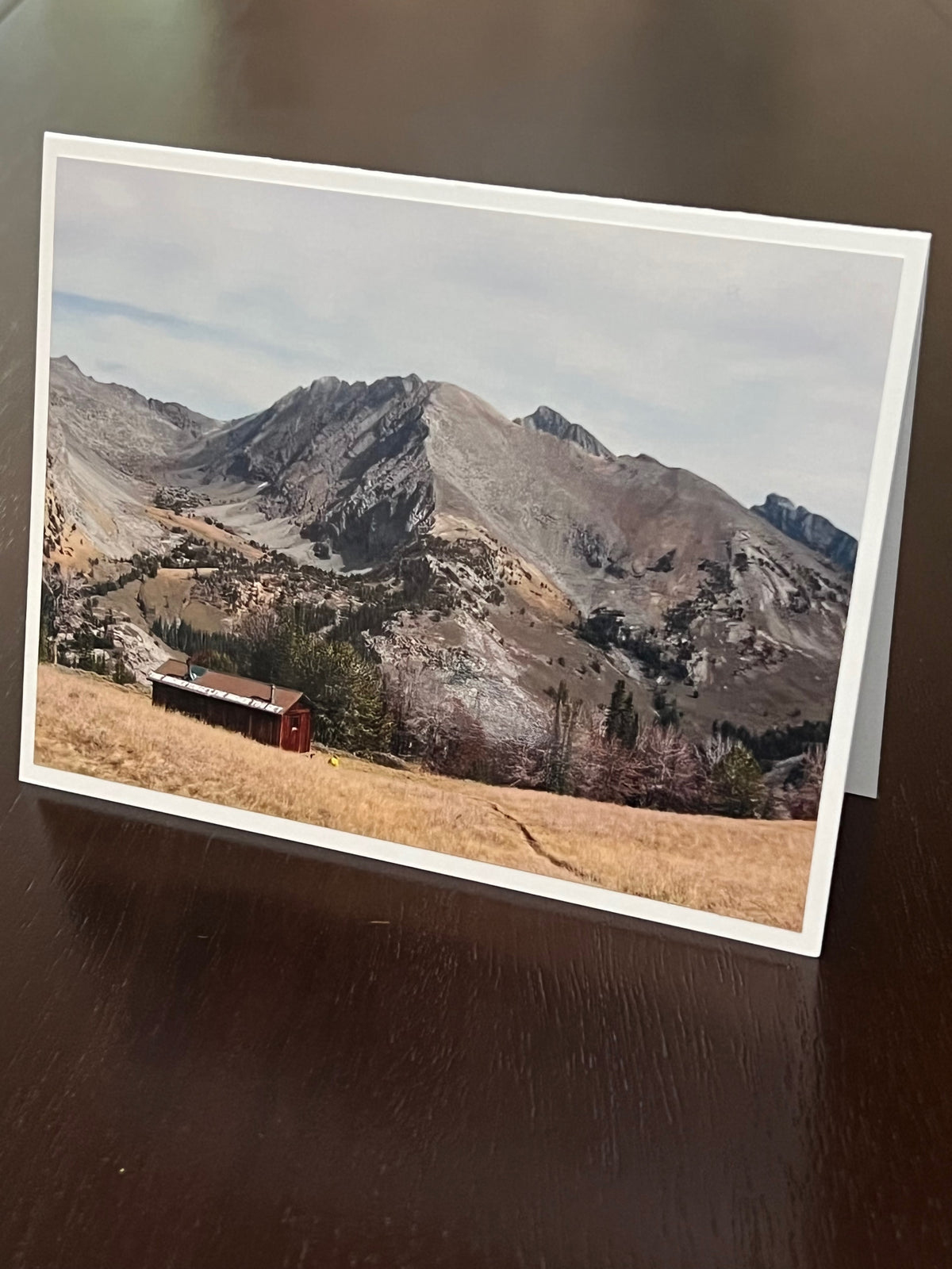 Pioneer Cabin fall day