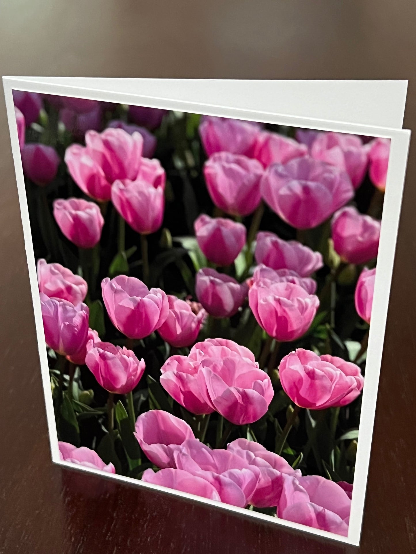 Pale pink tulips