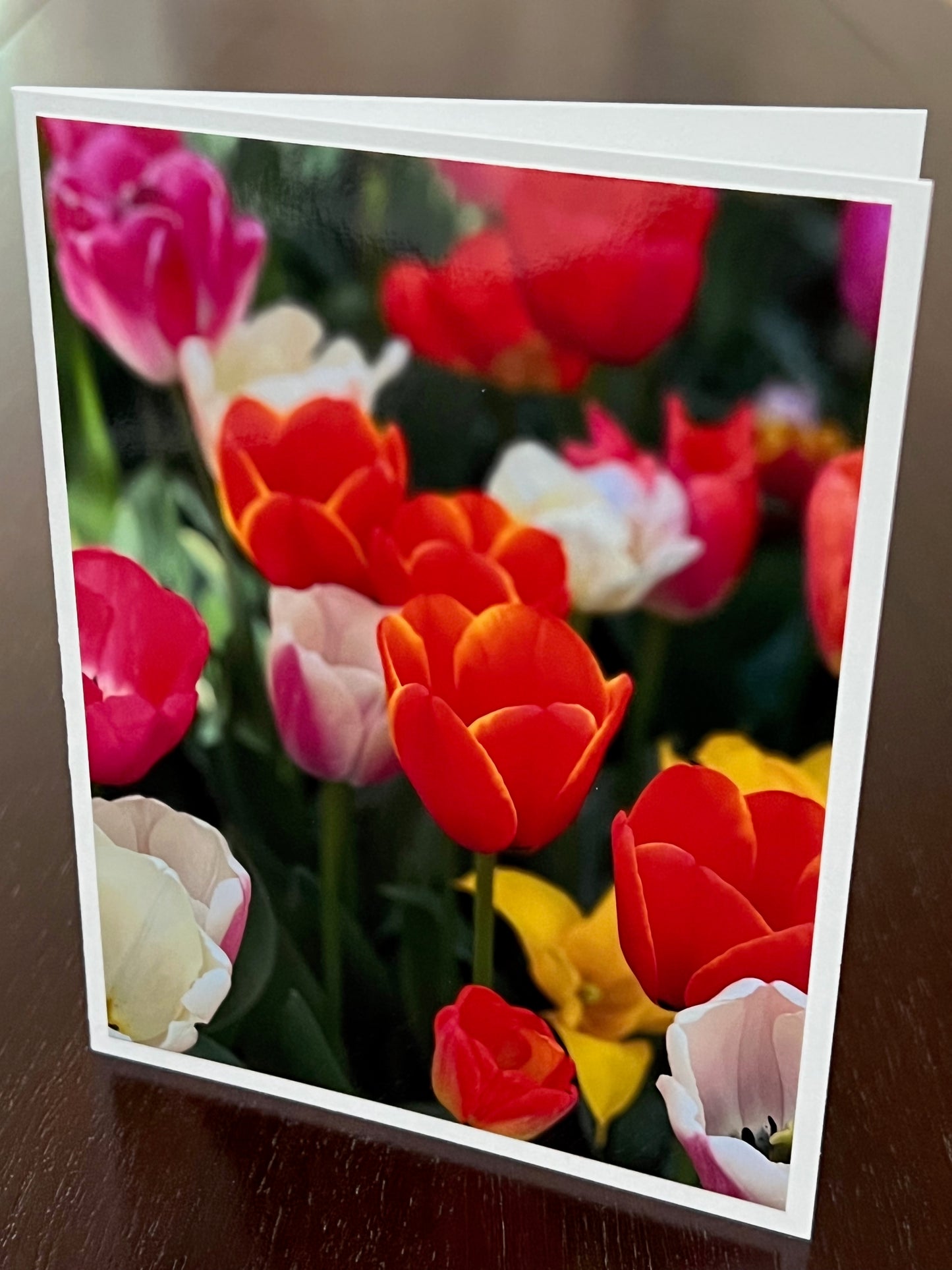 Blast of orange tulip mix