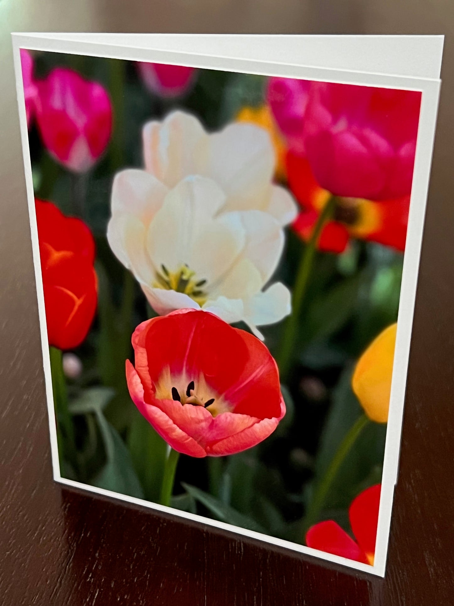 Orange and white fadeout