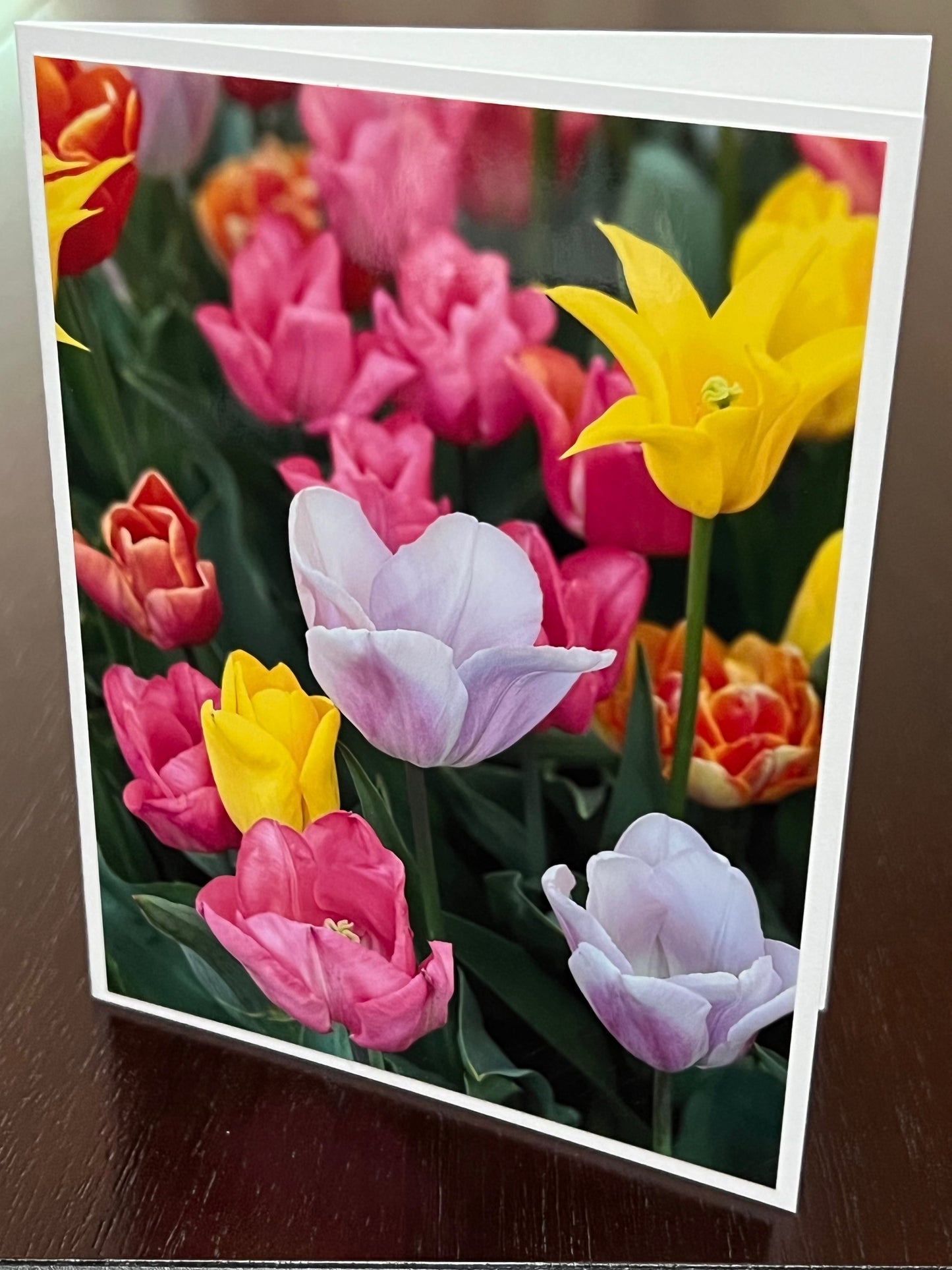 Colorful tulip party