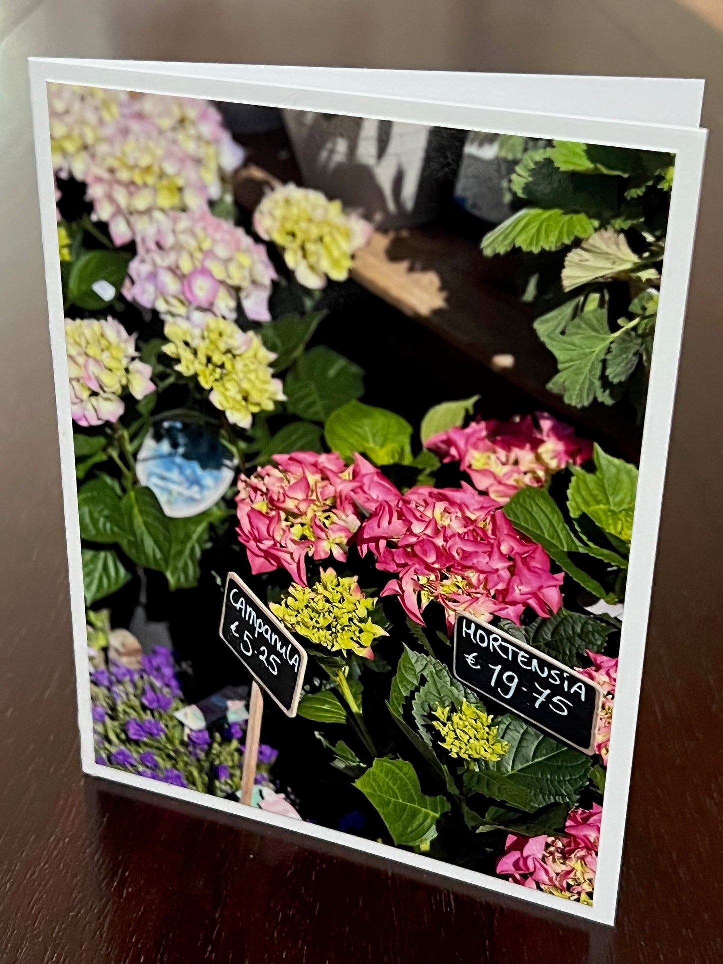 Flowers for sale 2