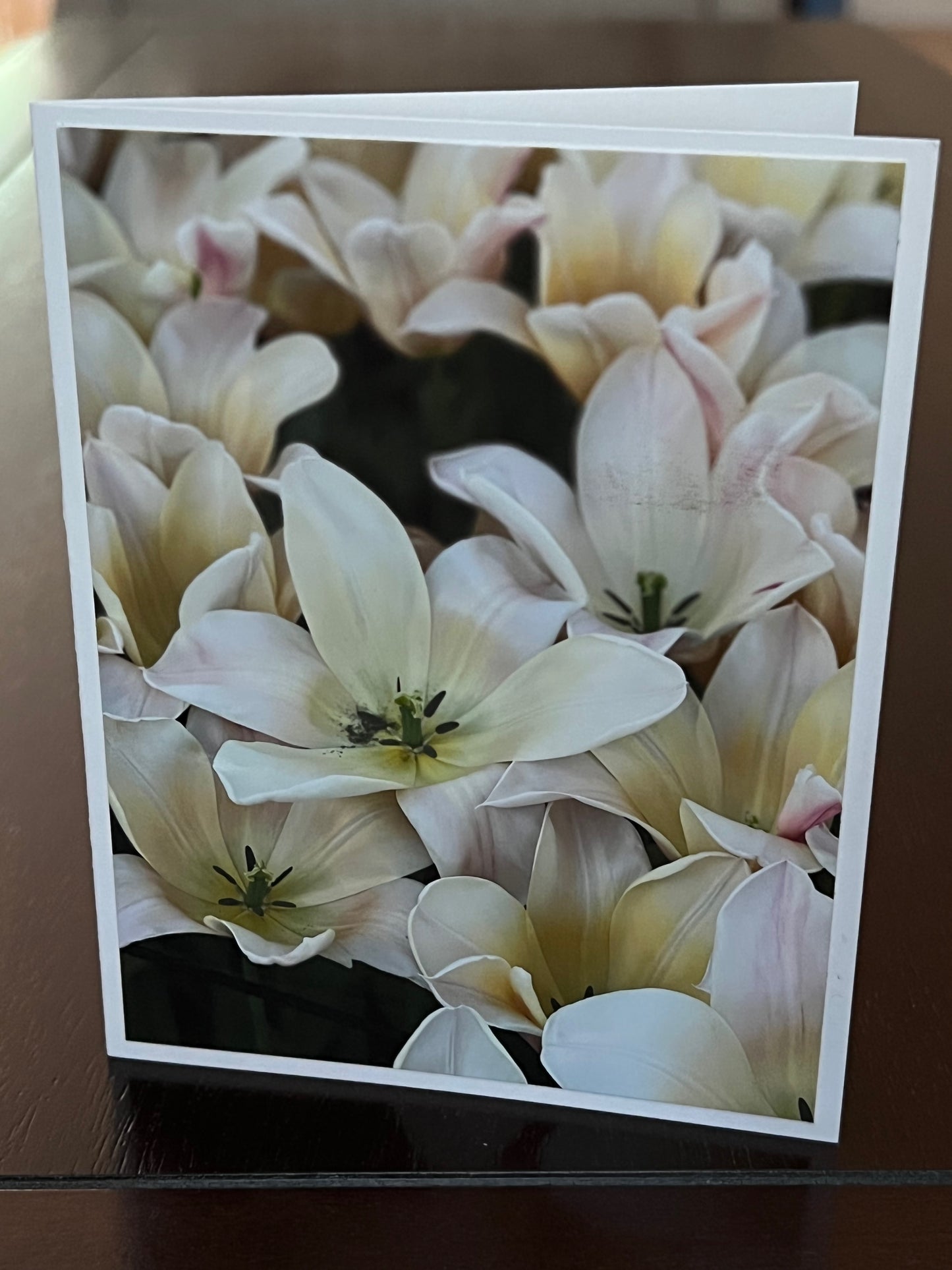 Soft pink and yellow tulips