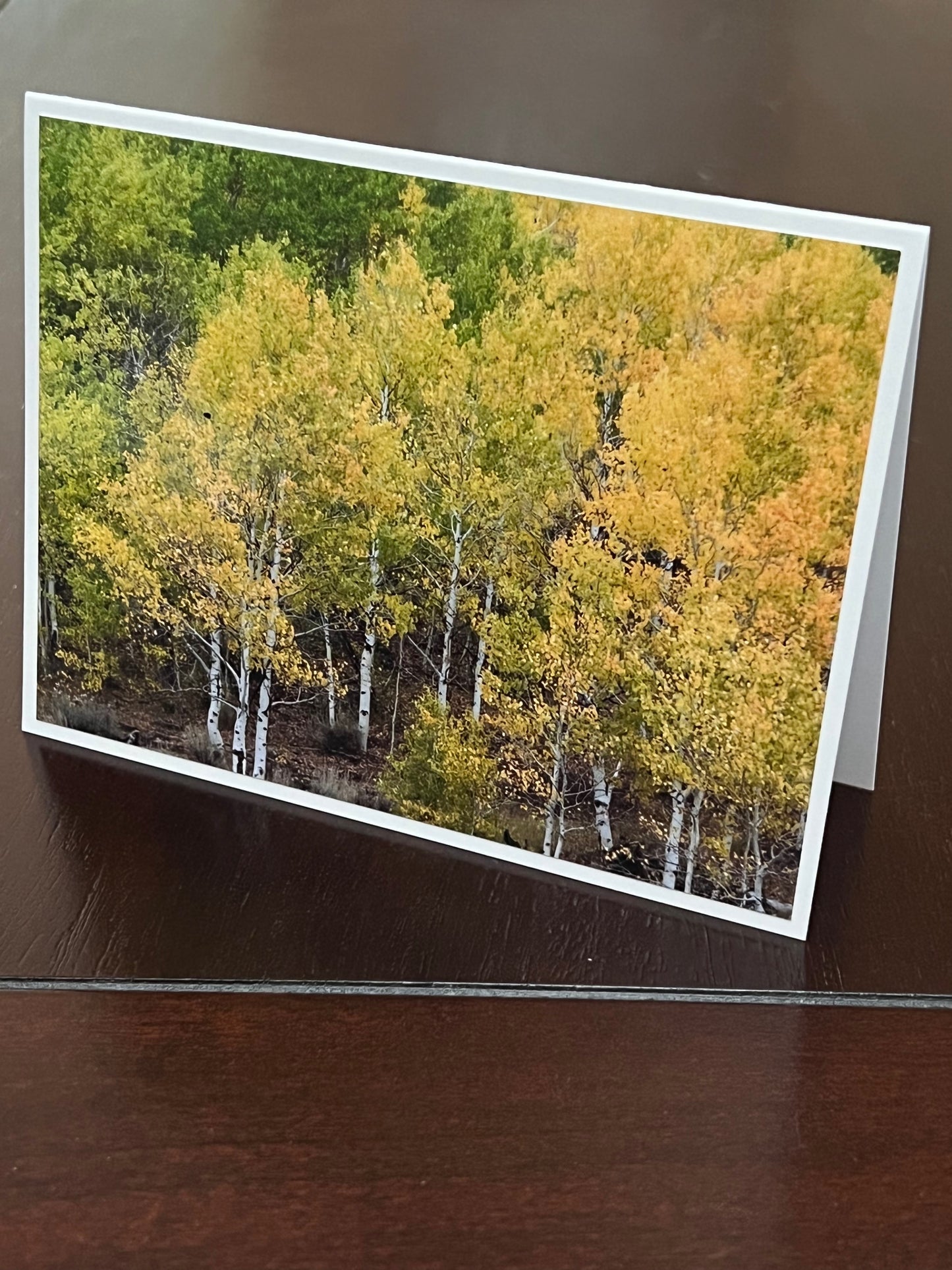 Hillside of green and yellow aspens