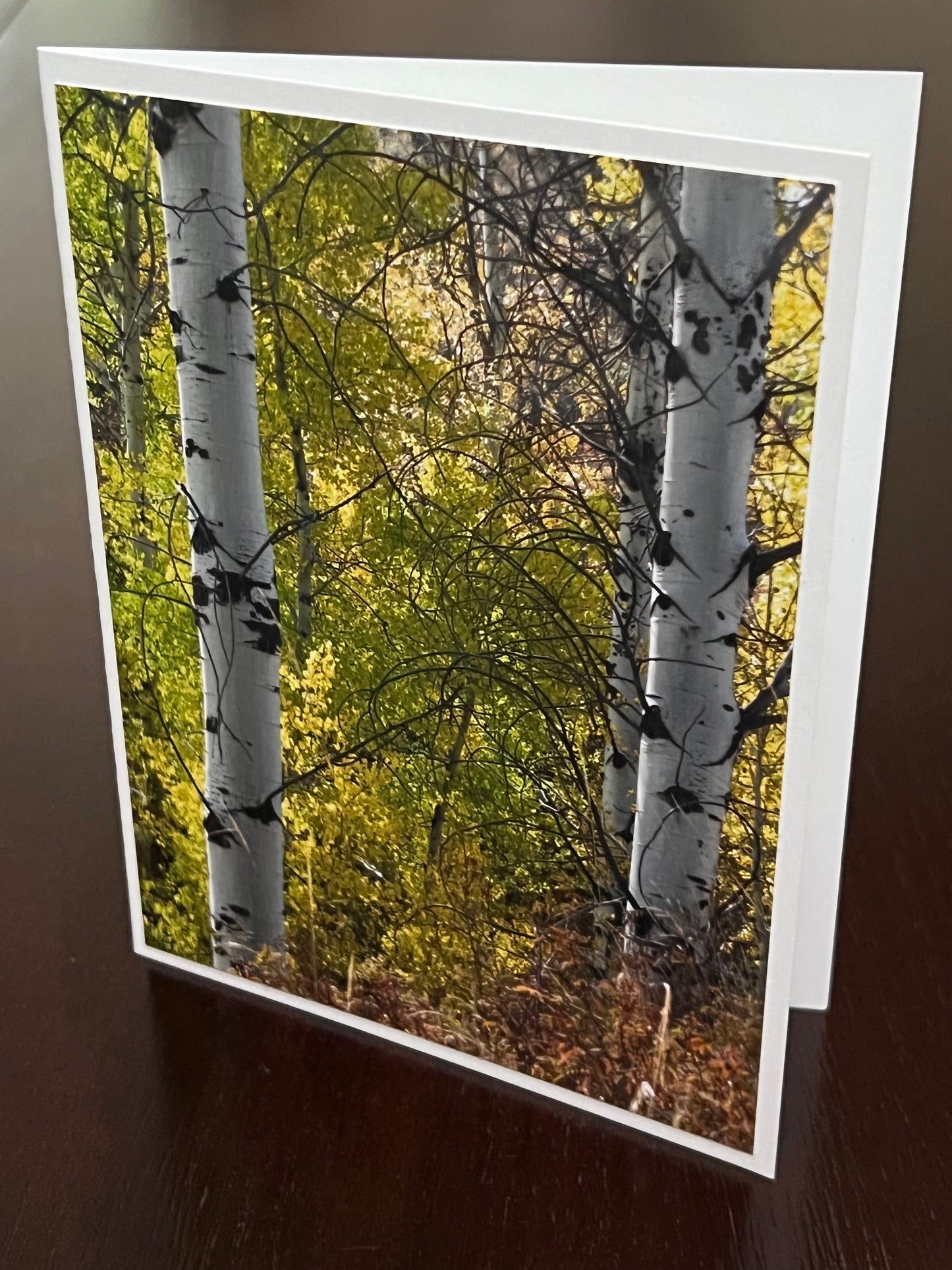 Bare aspens