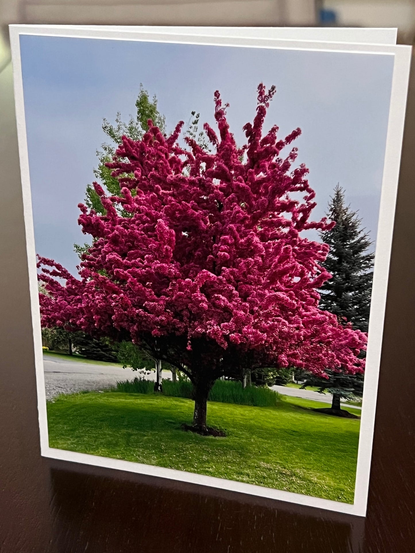 Pink flowering crabapple
