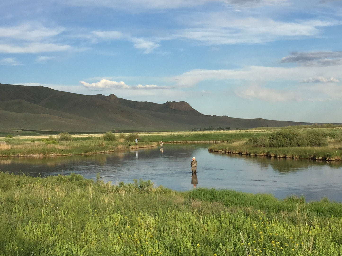 Fly fishing at Silver Creek