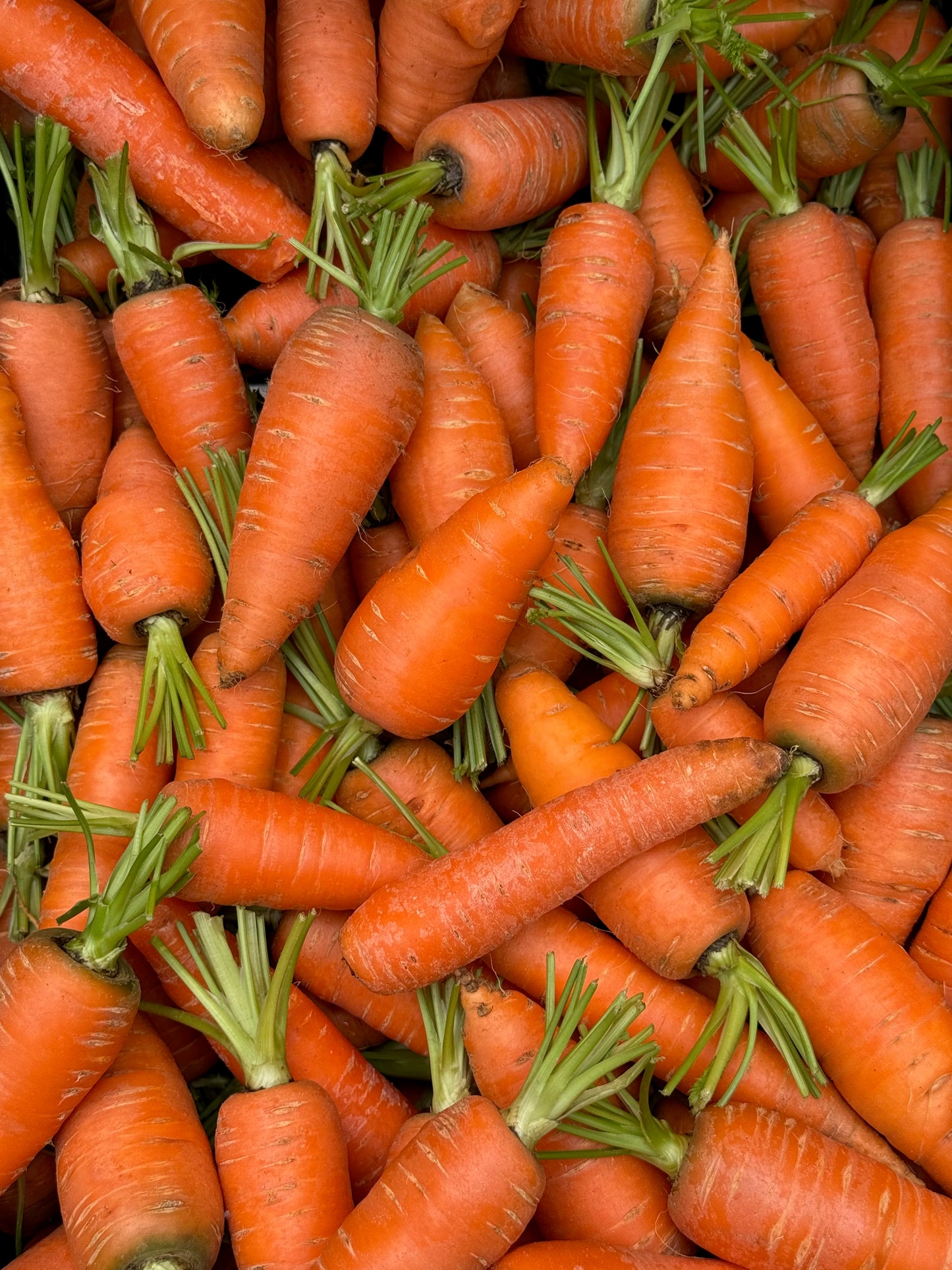 Veggies