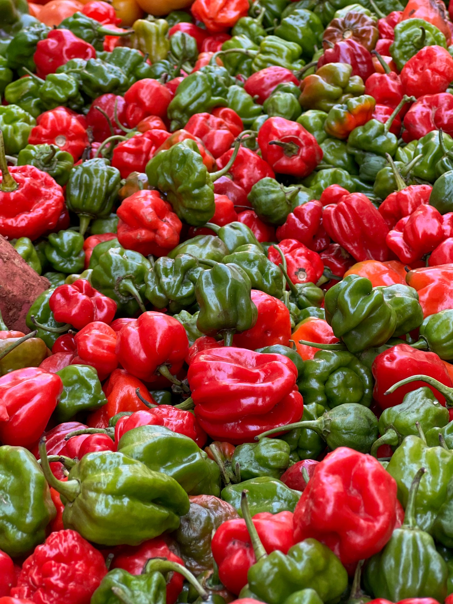 Veggies