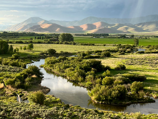 Silver Creek at dusk 2