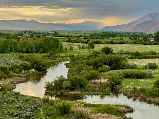 Silver Creek at dusk