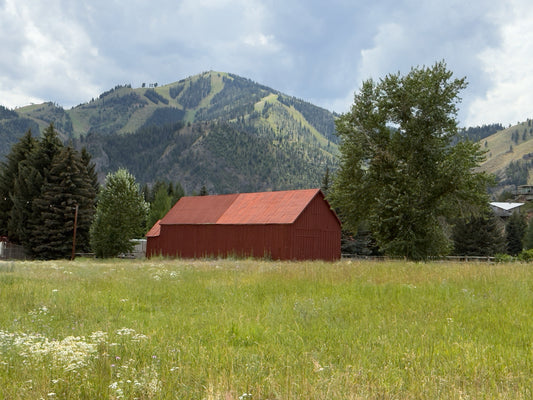 Baldy 3