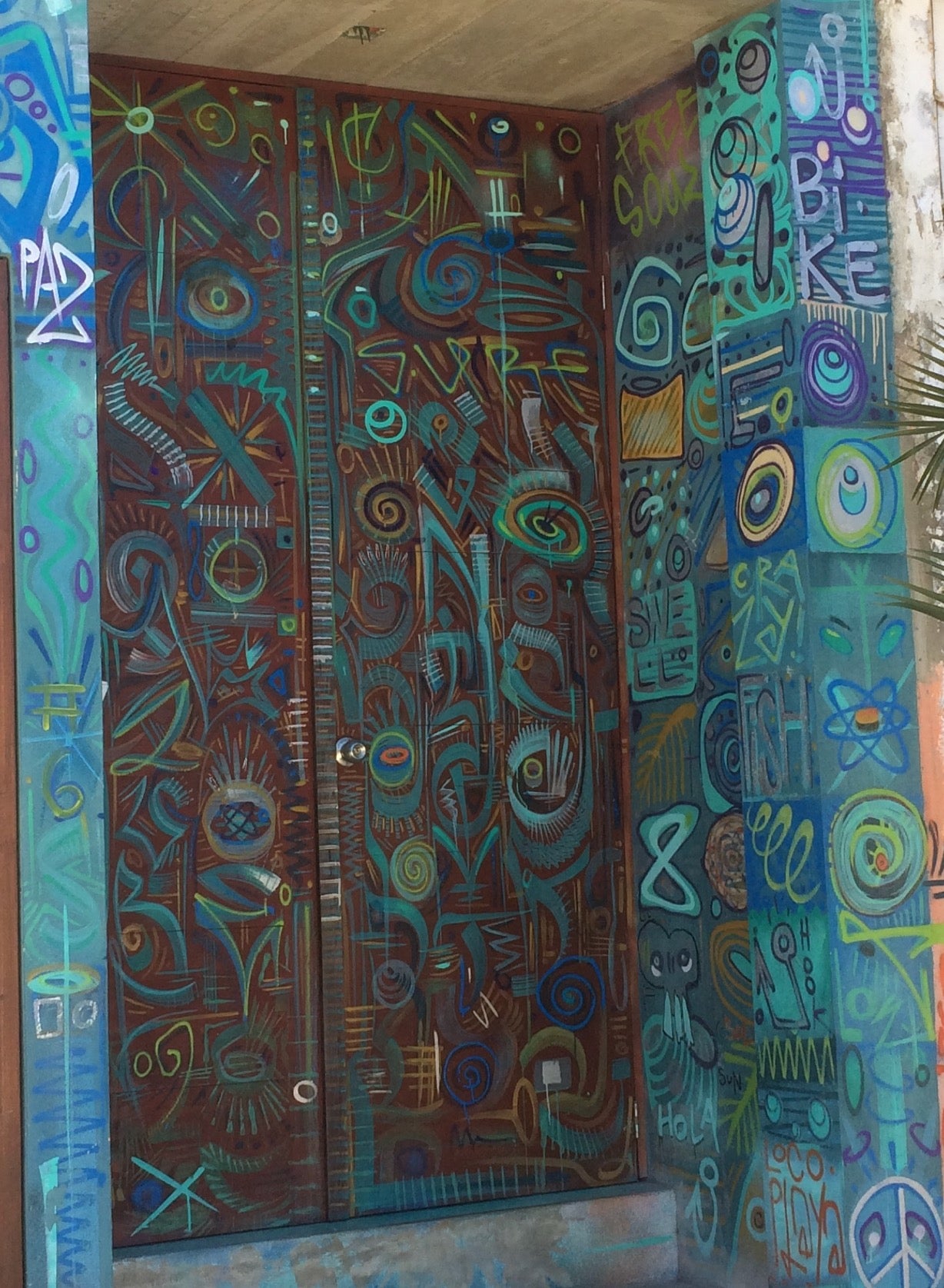 Eccentric door