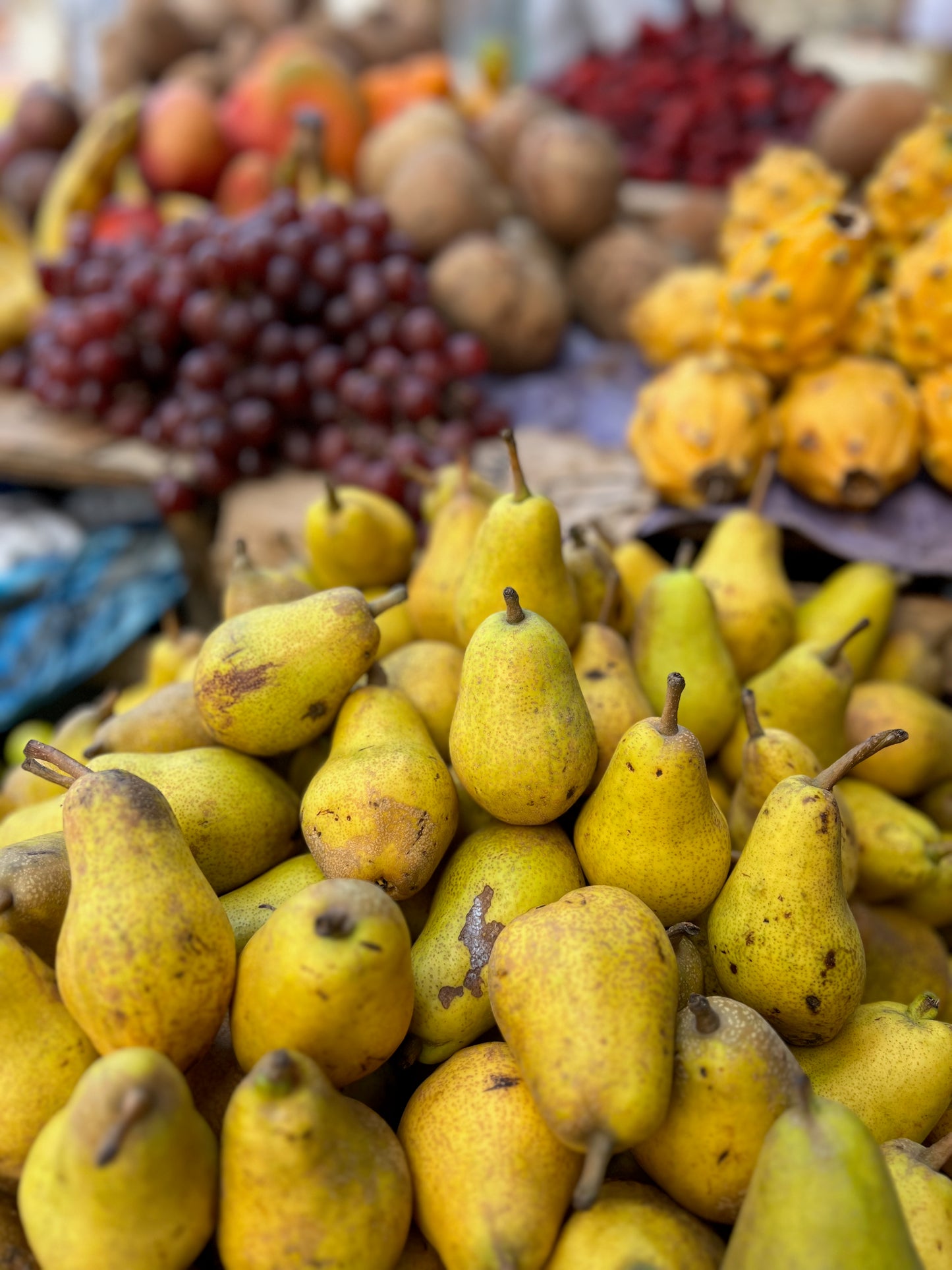 Fresh fruit 2