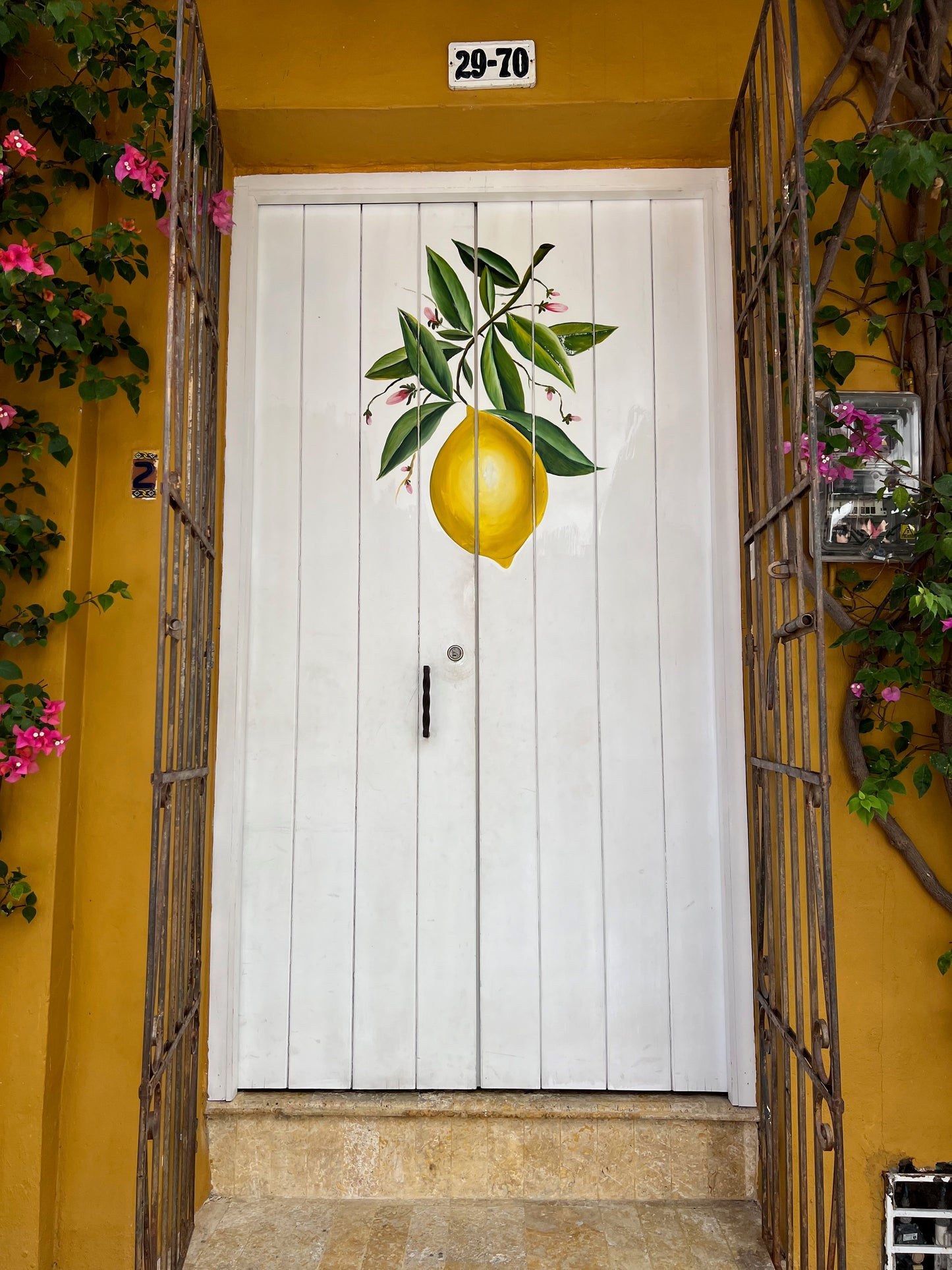 Lemon door