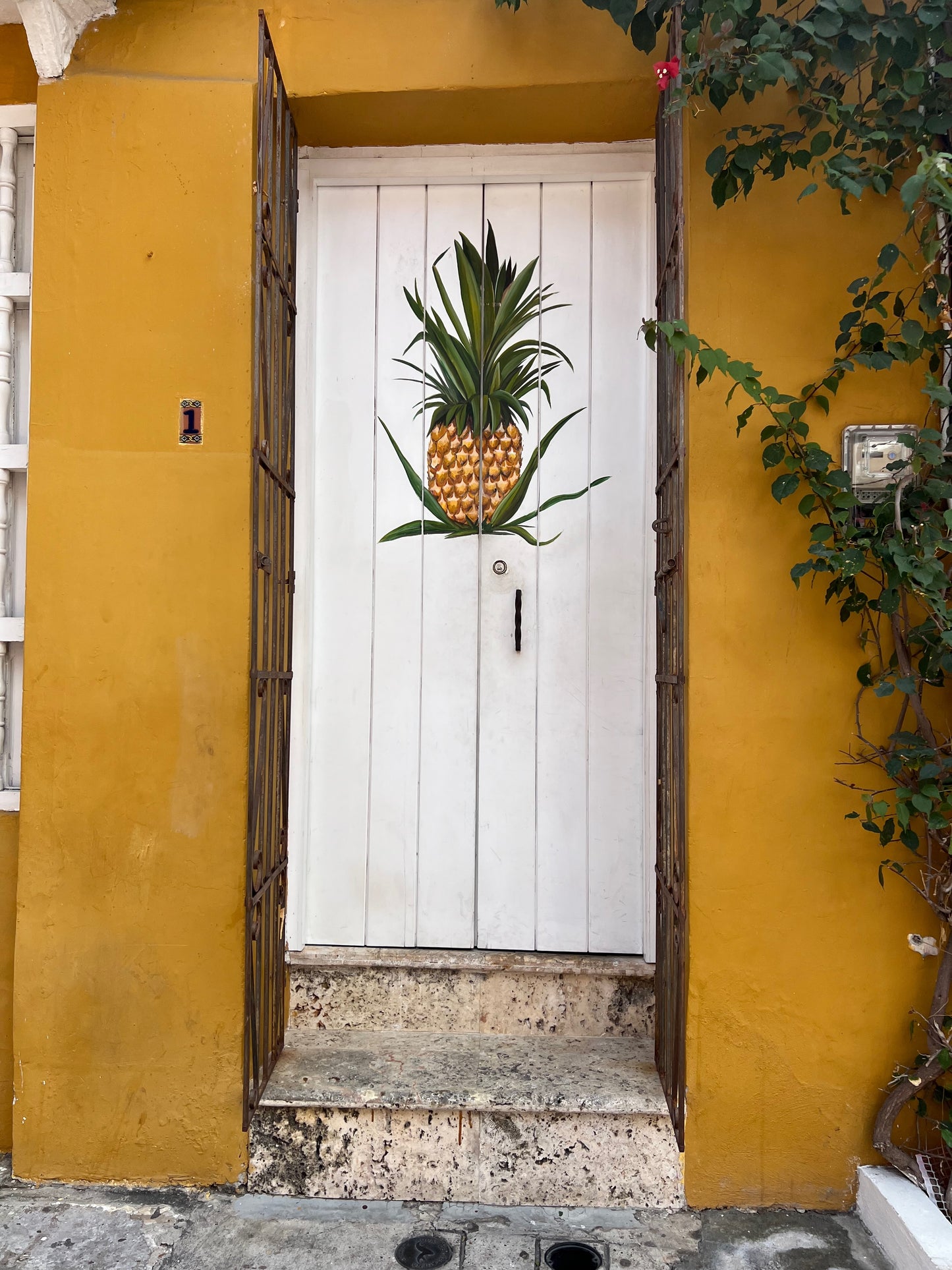 Pineapple door