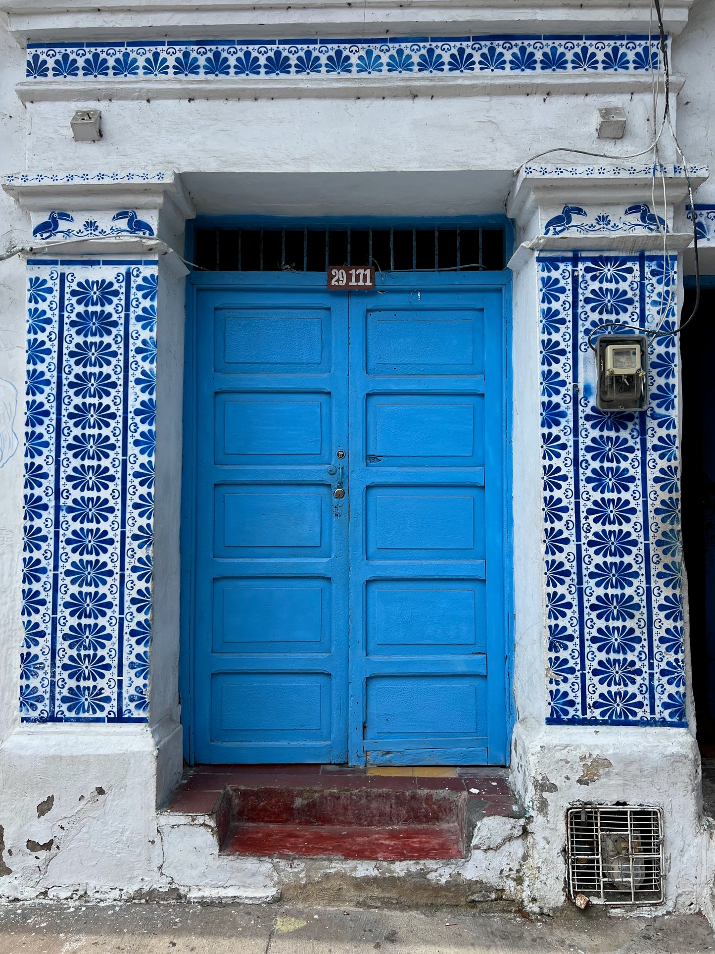 Blue Door 29171