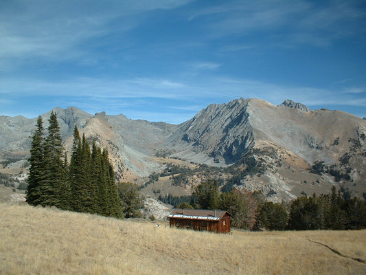 Pioneer Cabin fall day 2