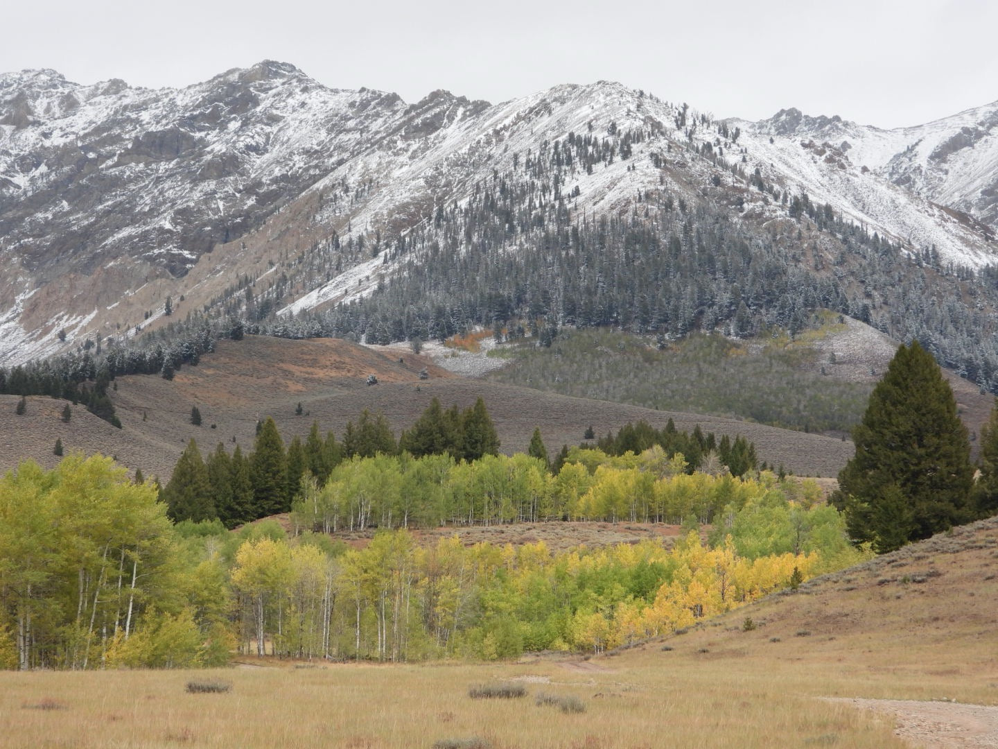 FIrst snow on Boulder Mtns