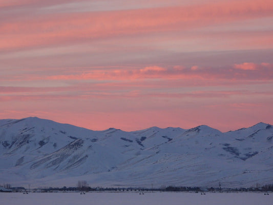 Pink skies in winter