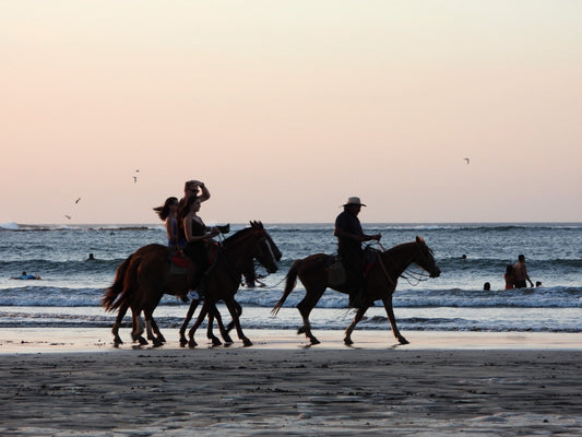 Horseback ride on the beach