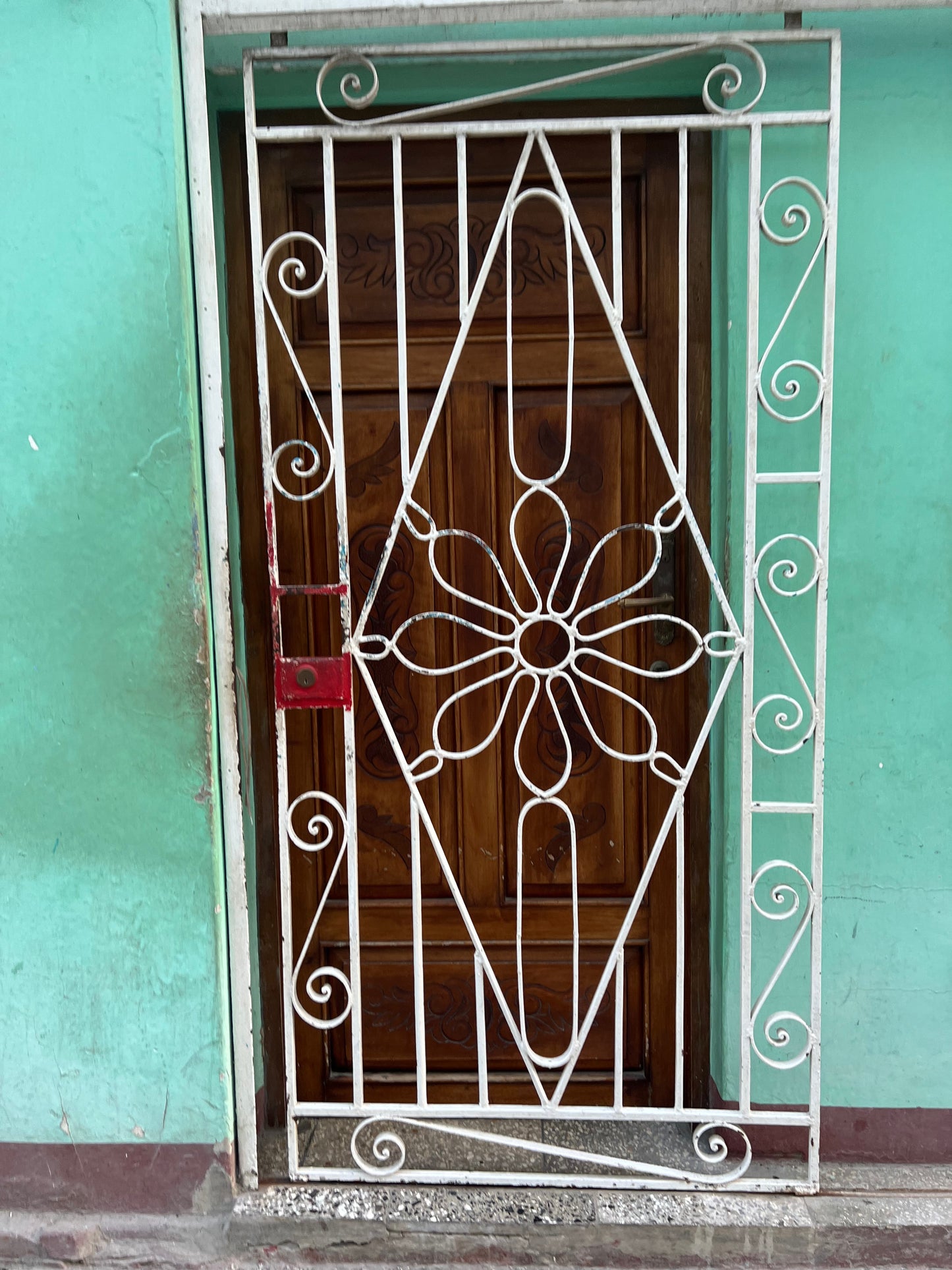 Metal Flower Door