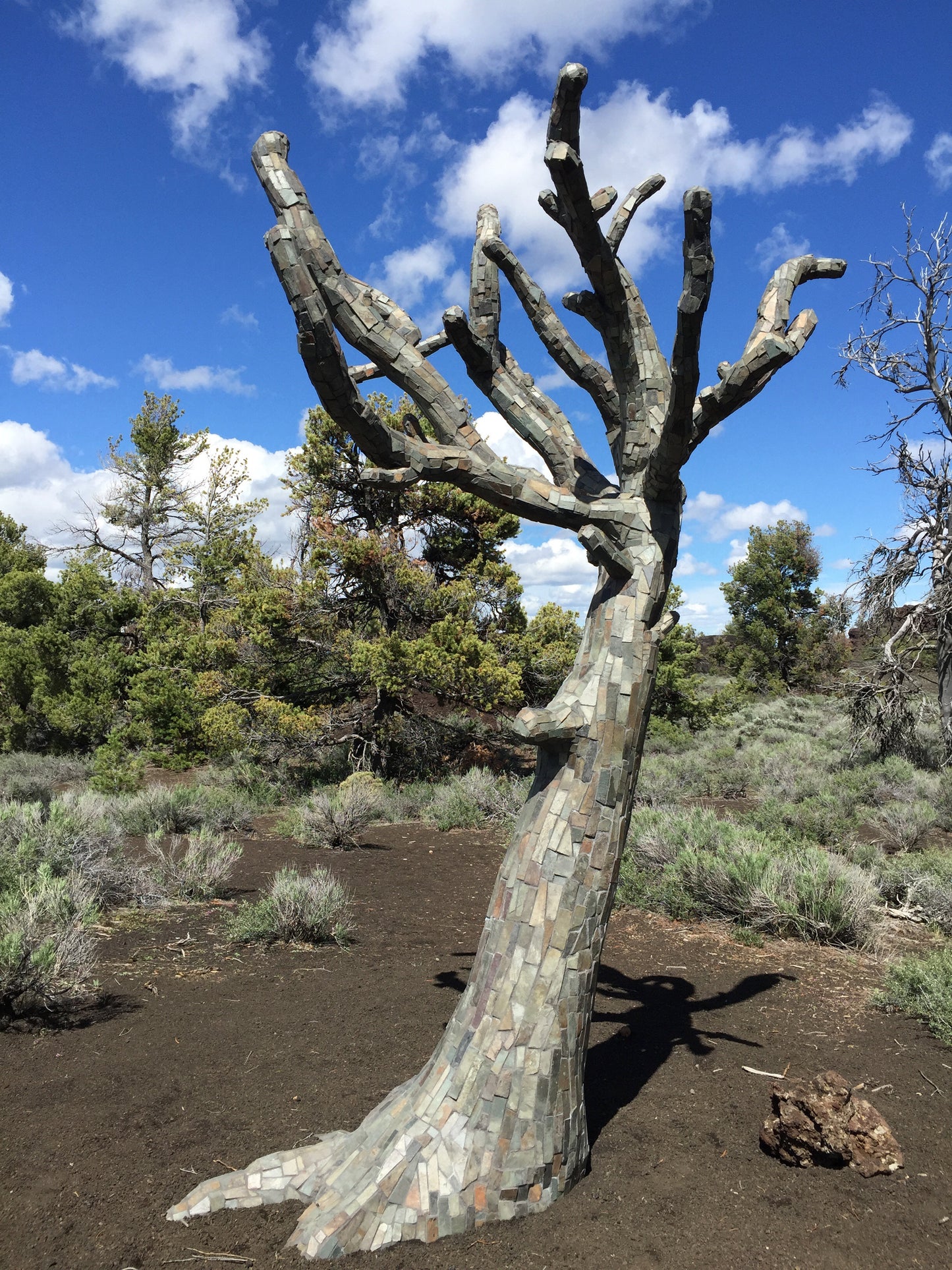 Tiled tree