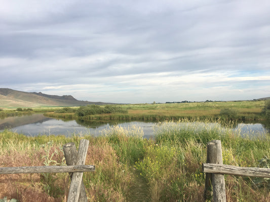 Calm day at Silver Creek