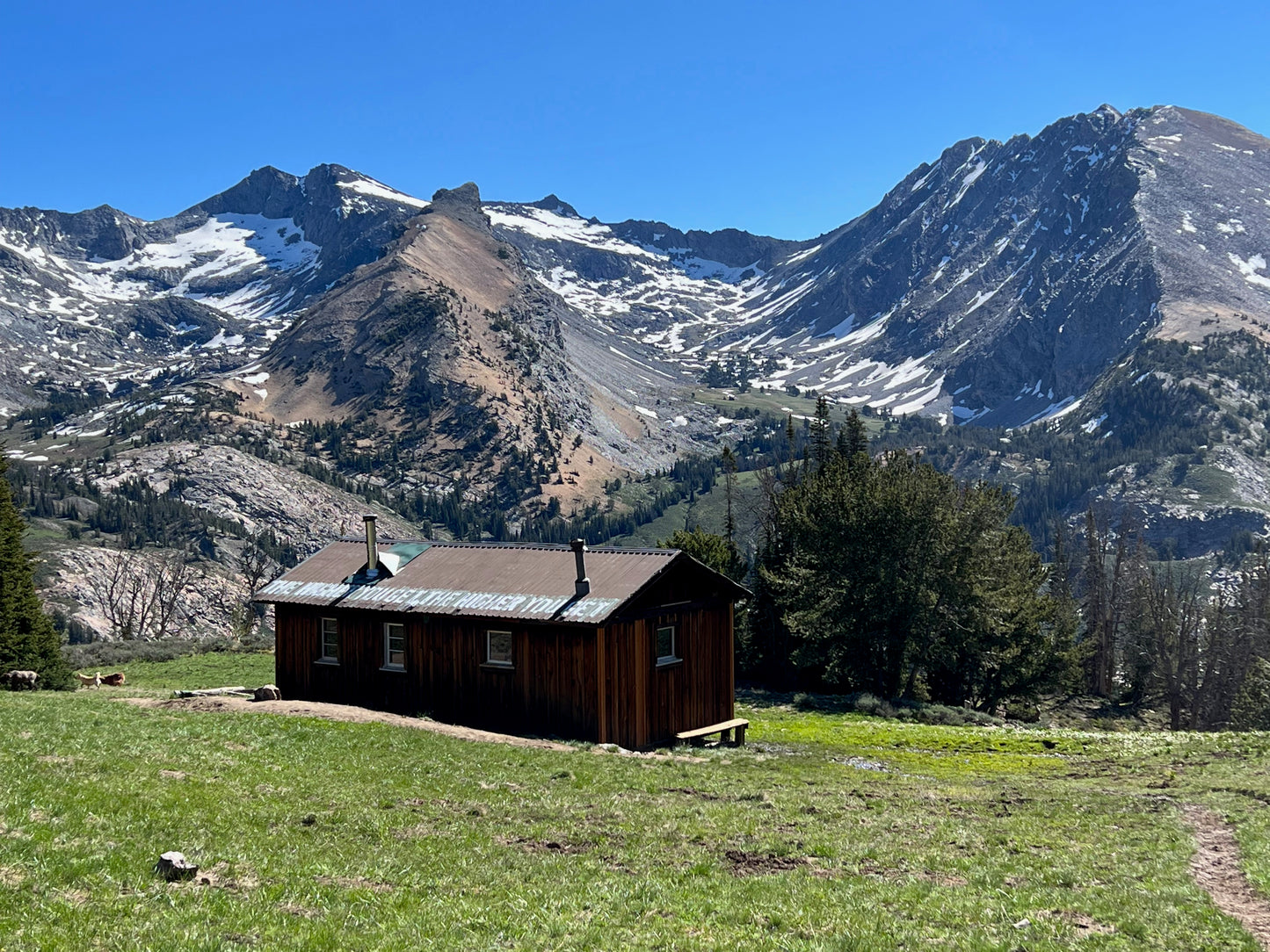 Pioneer Cabin summer day 2