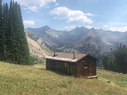 Pioneer Cabin summer day