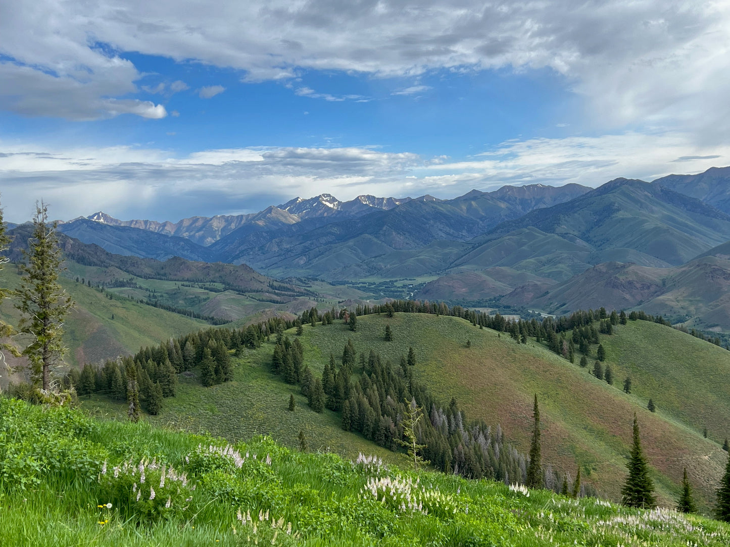 Summer view from Baldy 2