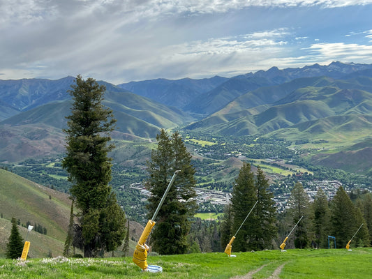 Summer view from Baldy