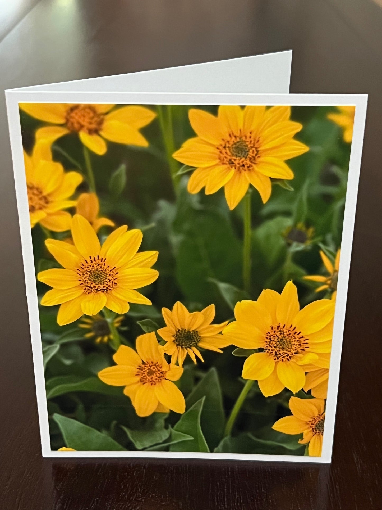 Arrowleaf Balsamroot