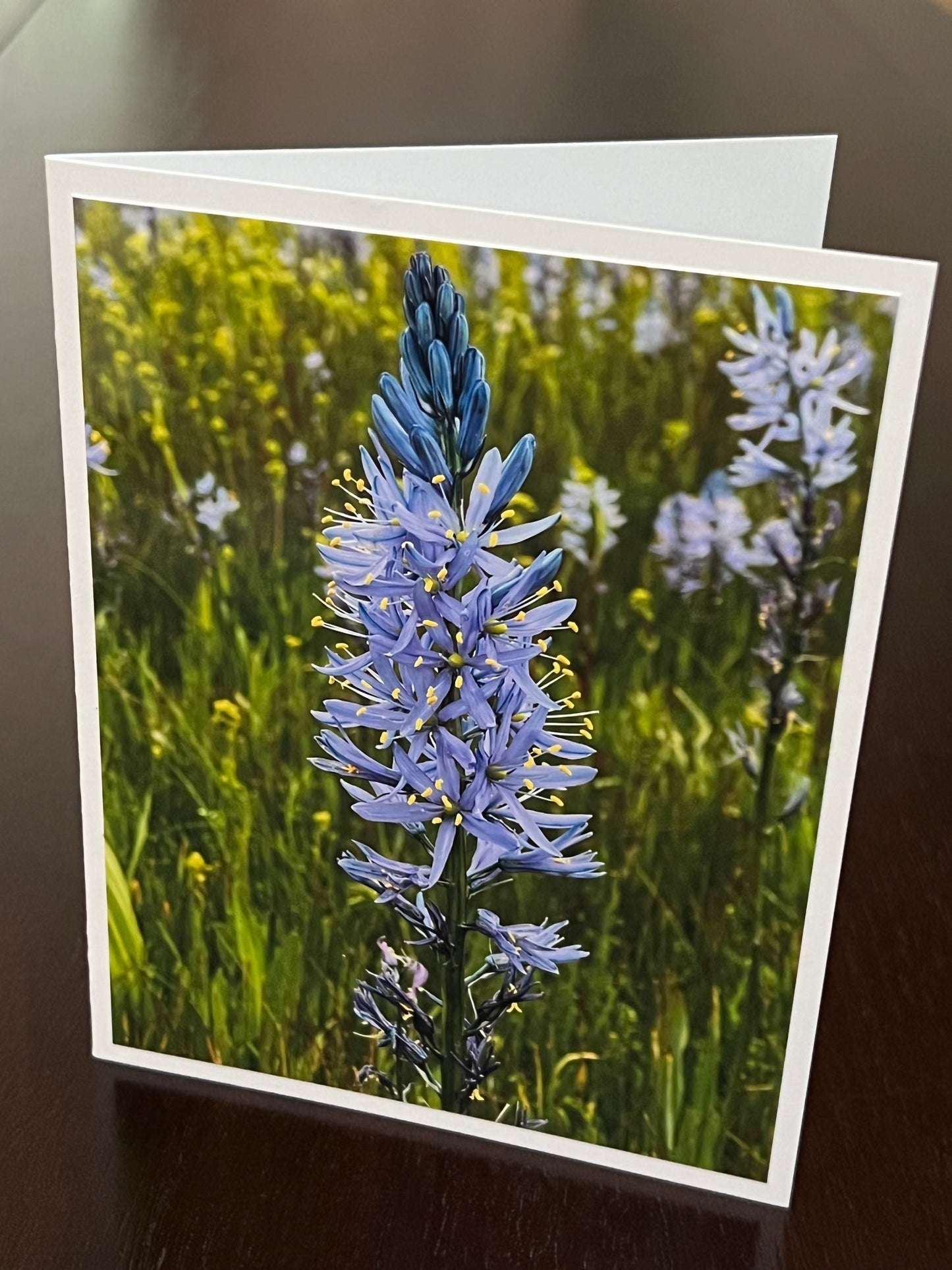 Camas lilies 2