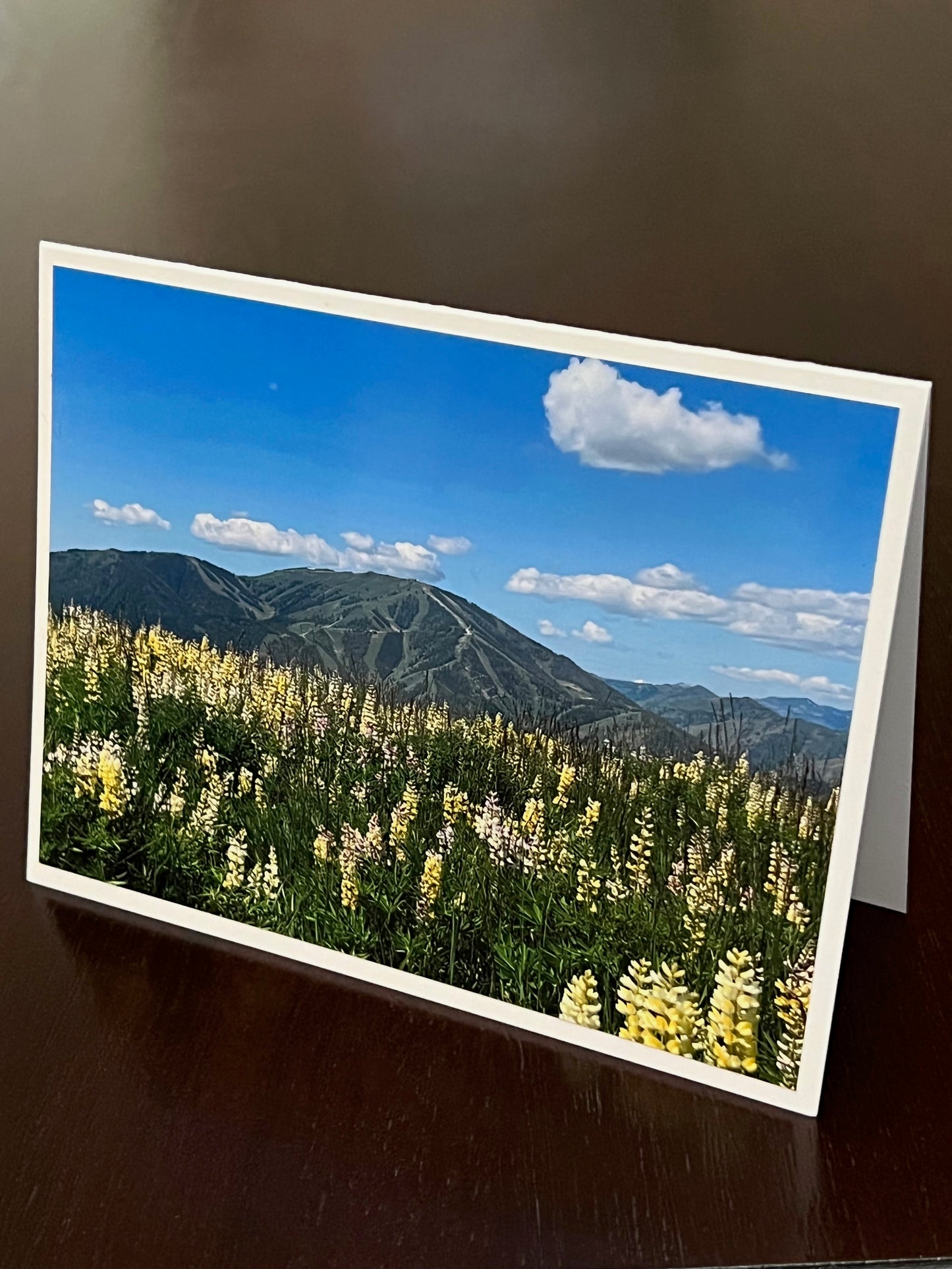 Baldy with summer lupine 3