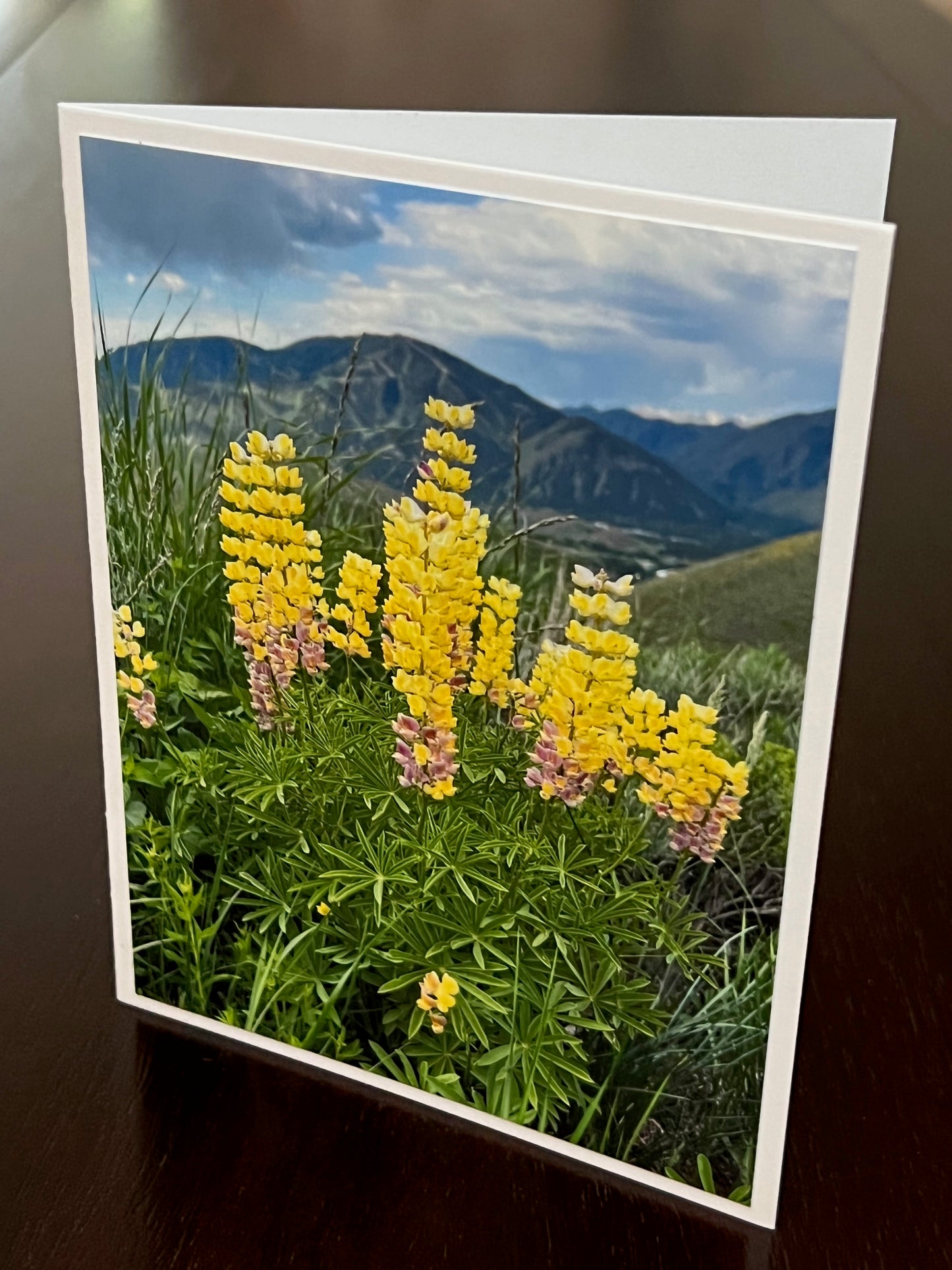 Baldy with summer lupine 2