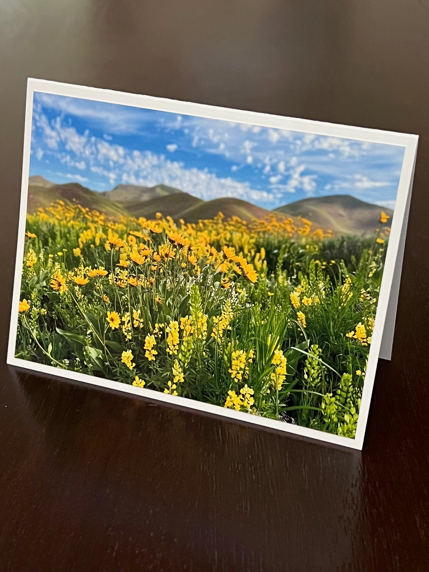 Croy Canyon Flowers