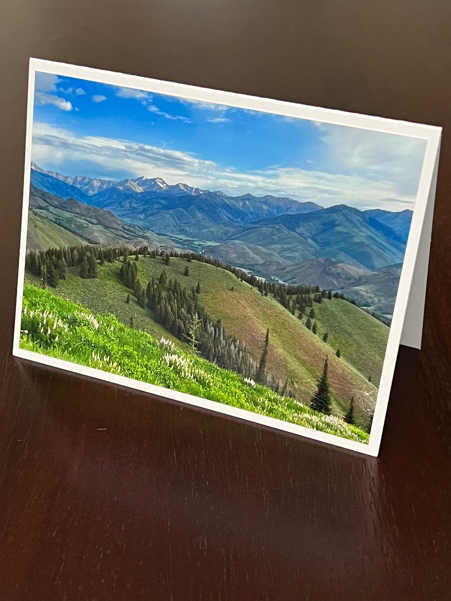 Summer view from Baldy 2